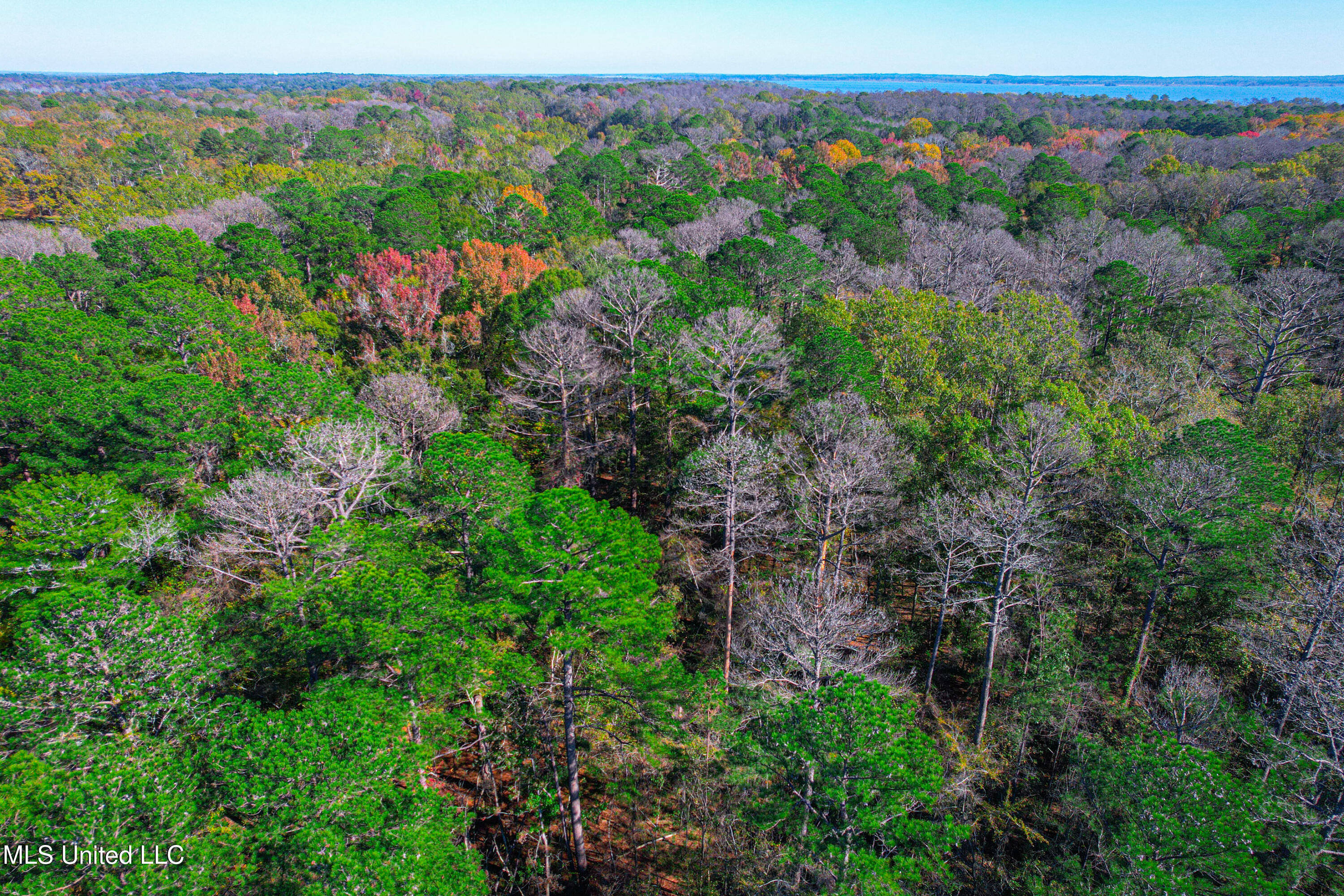 Deer Ridge Road, Madison, Mississippi image 4