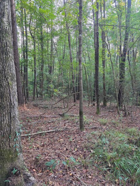 Vacant Land For Sale - County Rd 155<br/> Jasper County, Stringer, MS 39481