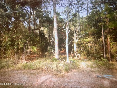 Vacant Land For Sale - 3074 Fifth Street<br/> Hancock County, Bay Saint Louis, MS 39520