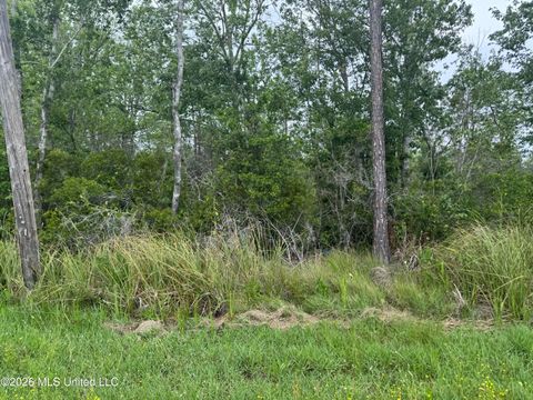 Vacant Land For Sale - NSN LOT 24 Piute Drive<br/> Kiln, MS 39556