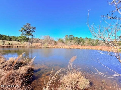 Vacant Land For Sale - John Smith Road<br/> Mount Hermon, LA 39518