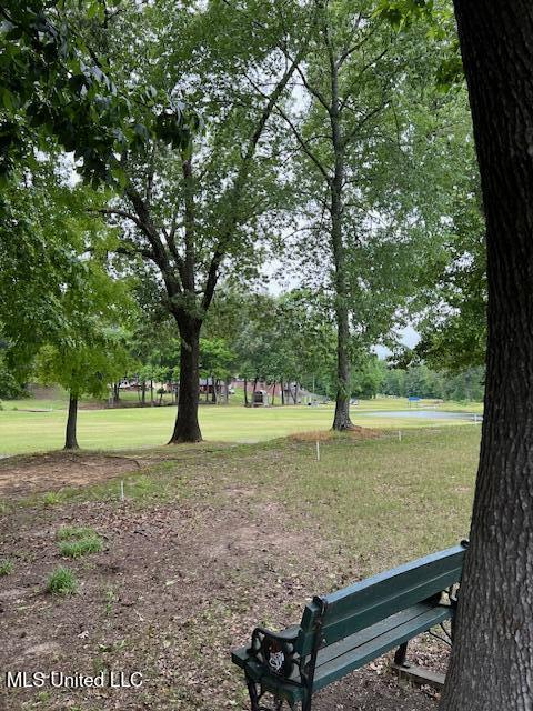 211 Fairway Trace Drive, Hernando, Mississippi image 20