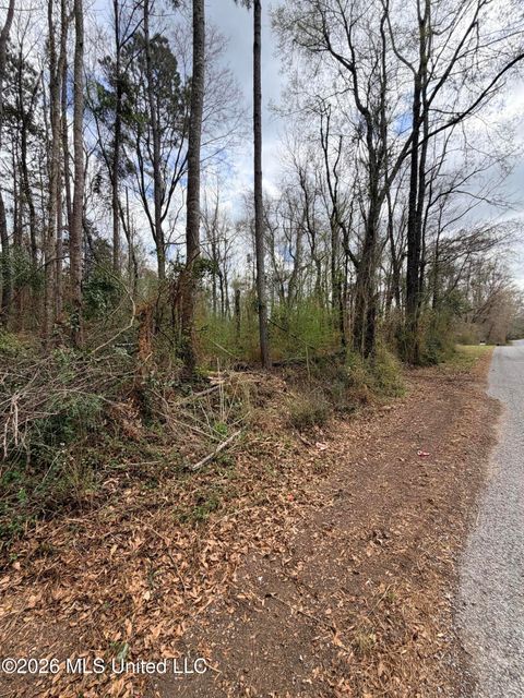 Vacant Land For Sale - 03 Gibson Road<br/> Pike County, McComb, MS 39648