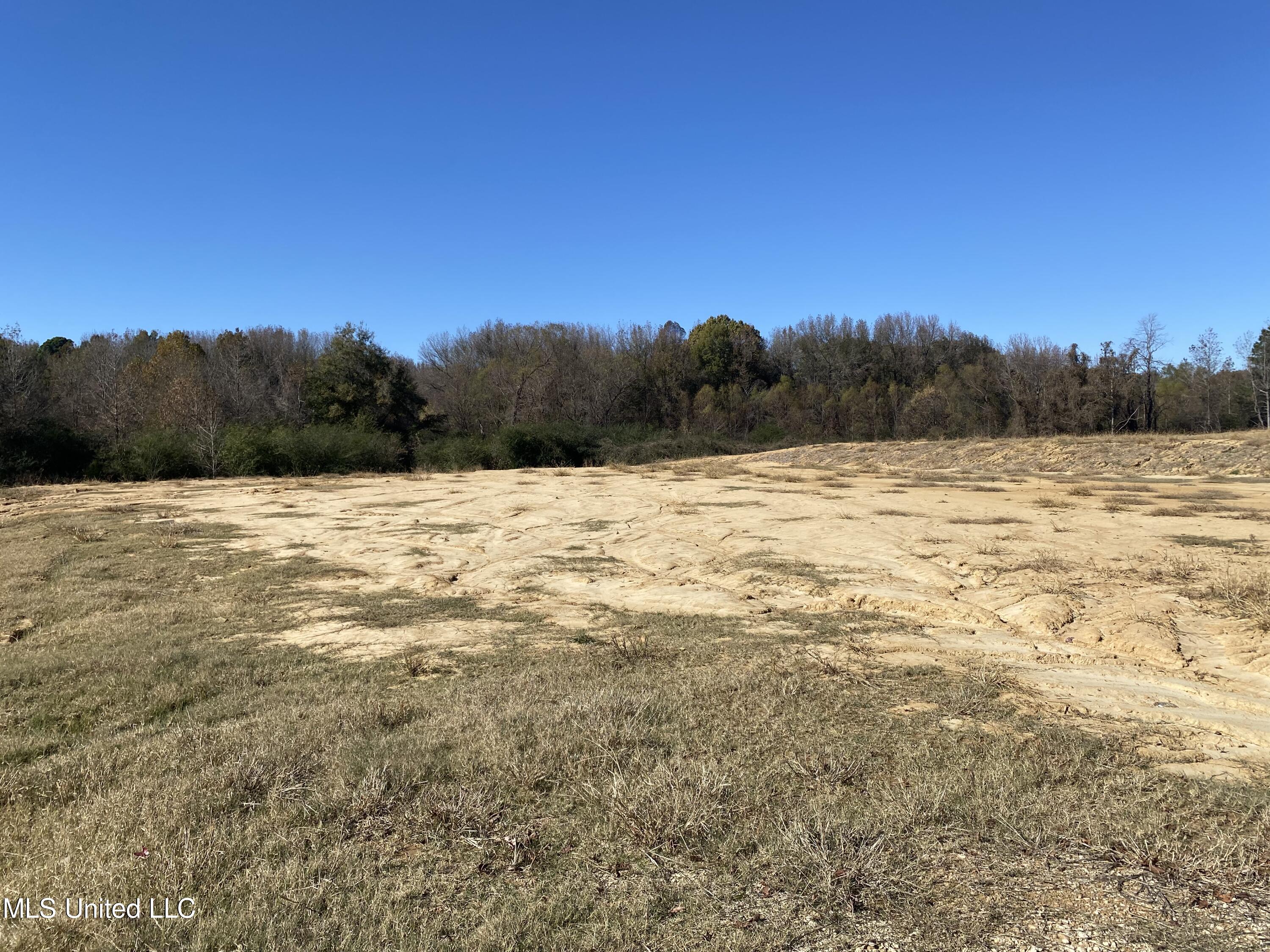 9 Highland Meadows Minor Lot, Hernando, Mississippi image 1