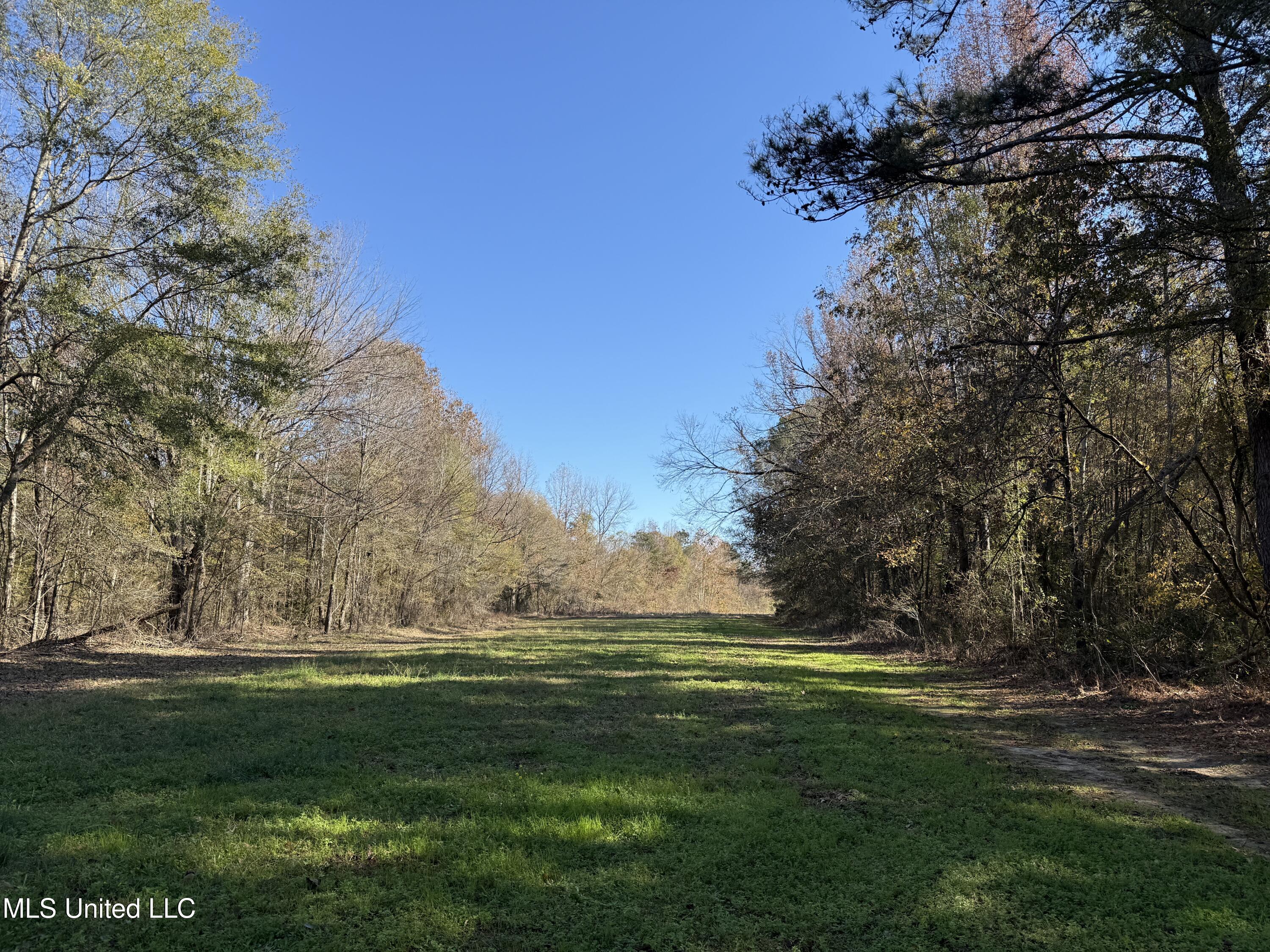 Hwy 429, Sallis, Mississippi image 25