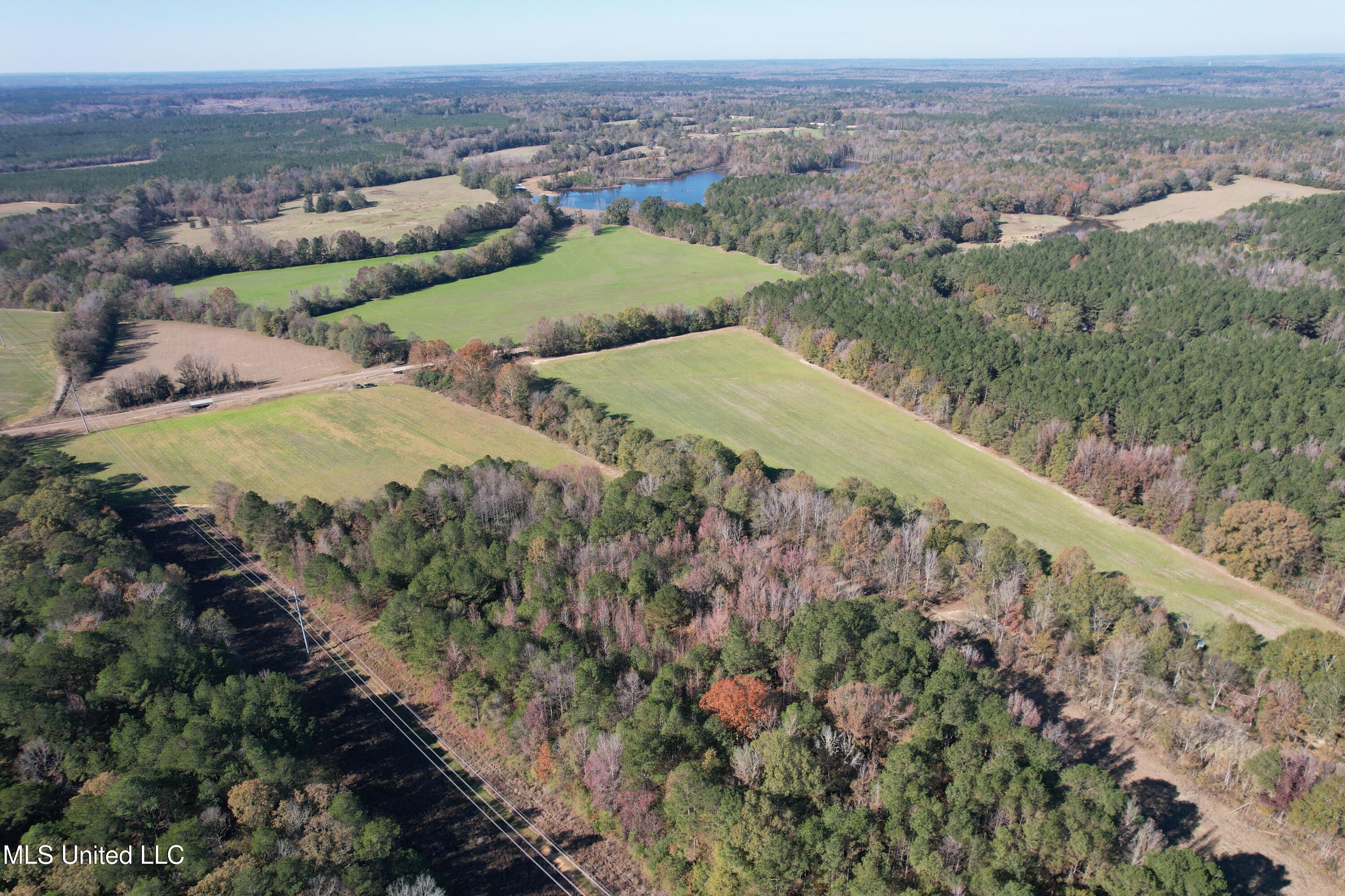 Hwy 429, Sallis, Mississippi image 1