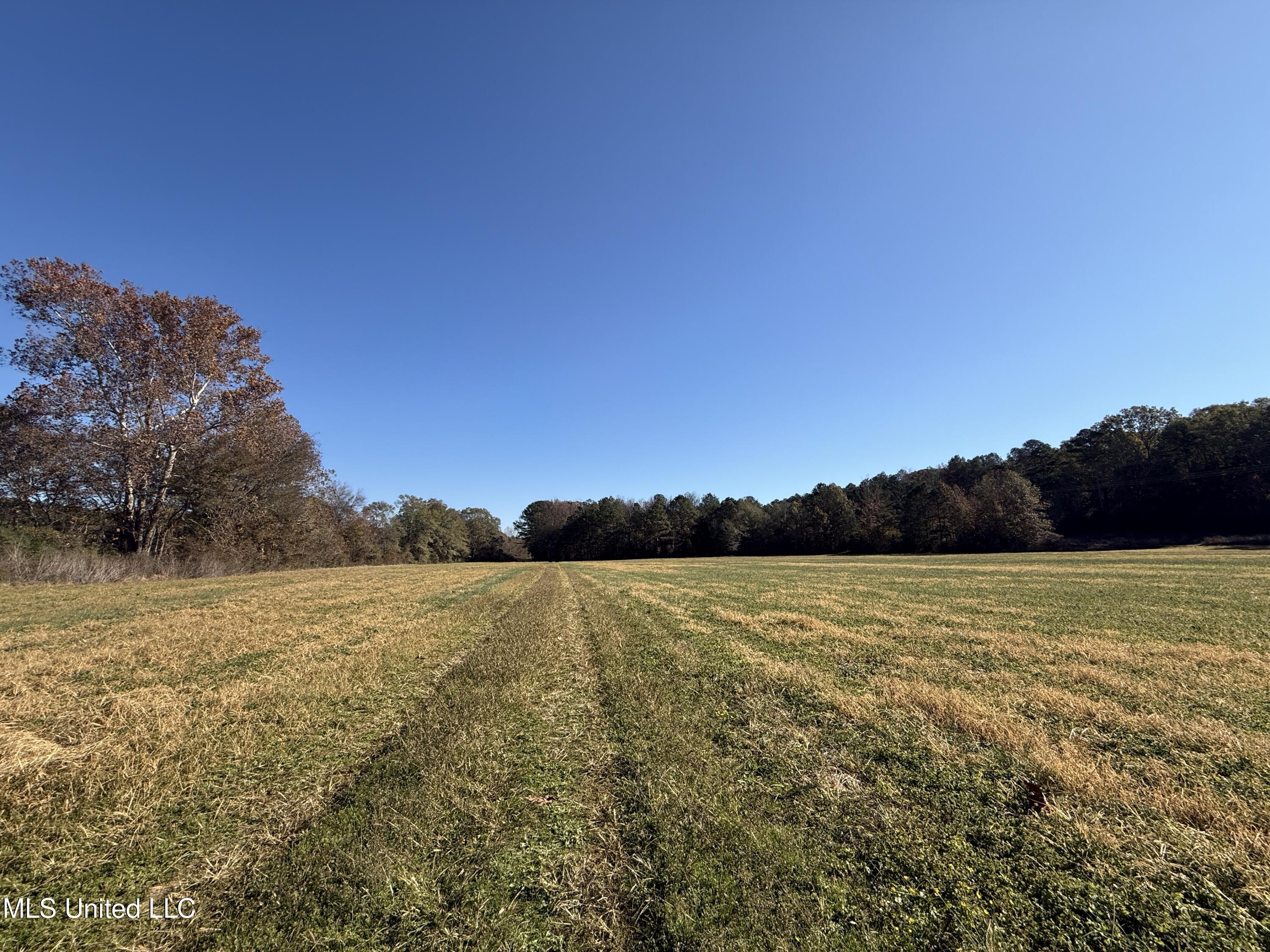 Hwy 429, Sallis, Mississippi image 24