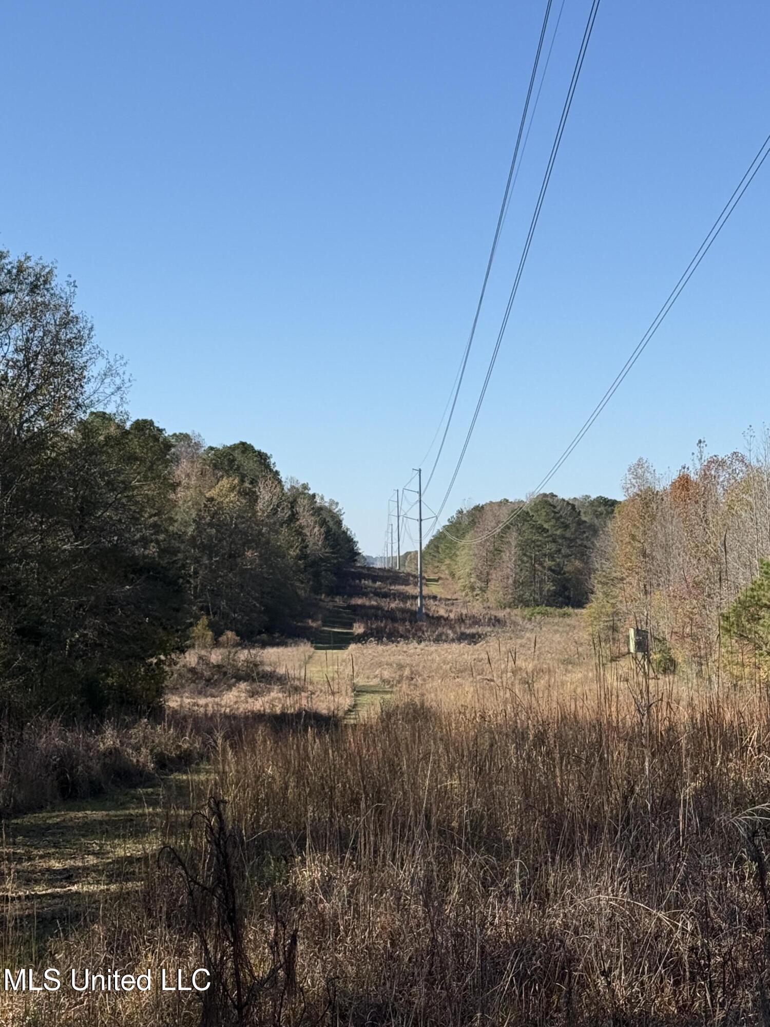 Hwy 429, Sallis, Mississippi image 28