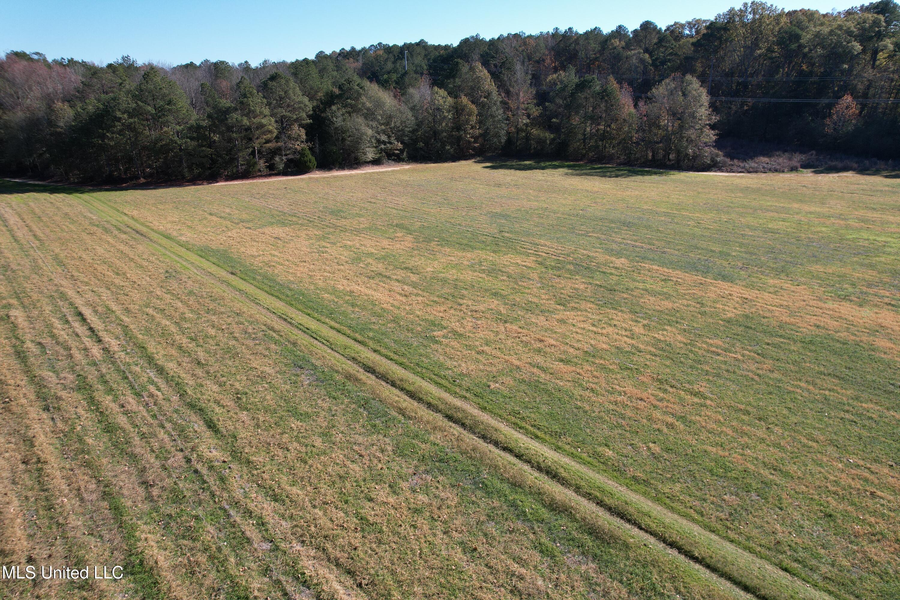 Hwy 429, Sallis, Mississippi image 10