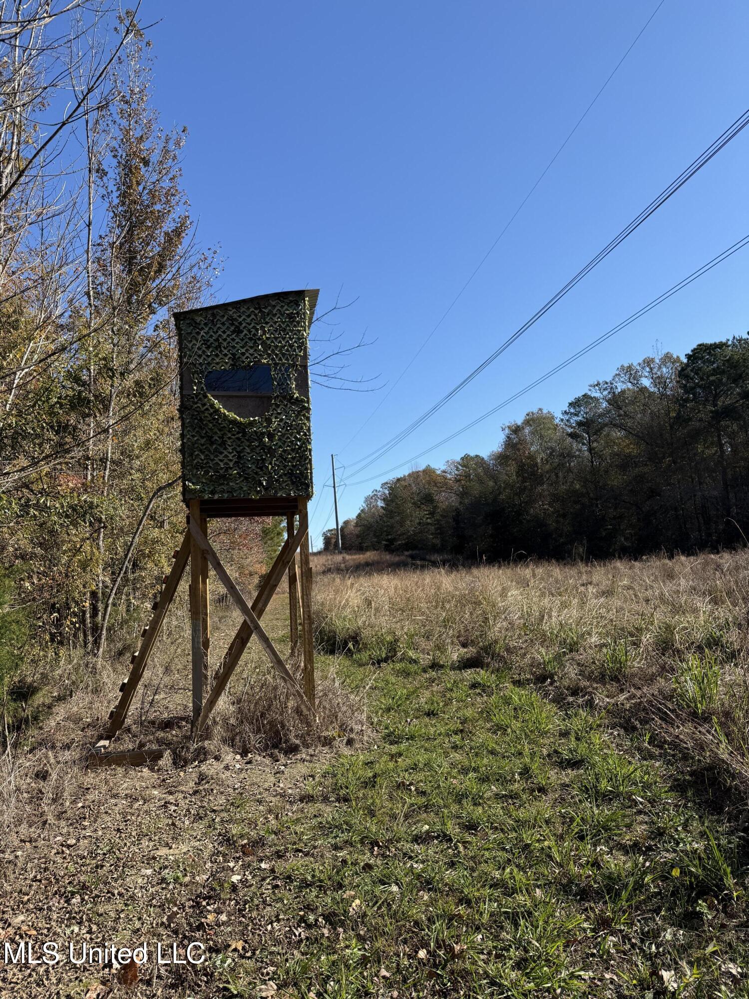 Hwy 429, Sallis, Mississippi image 27