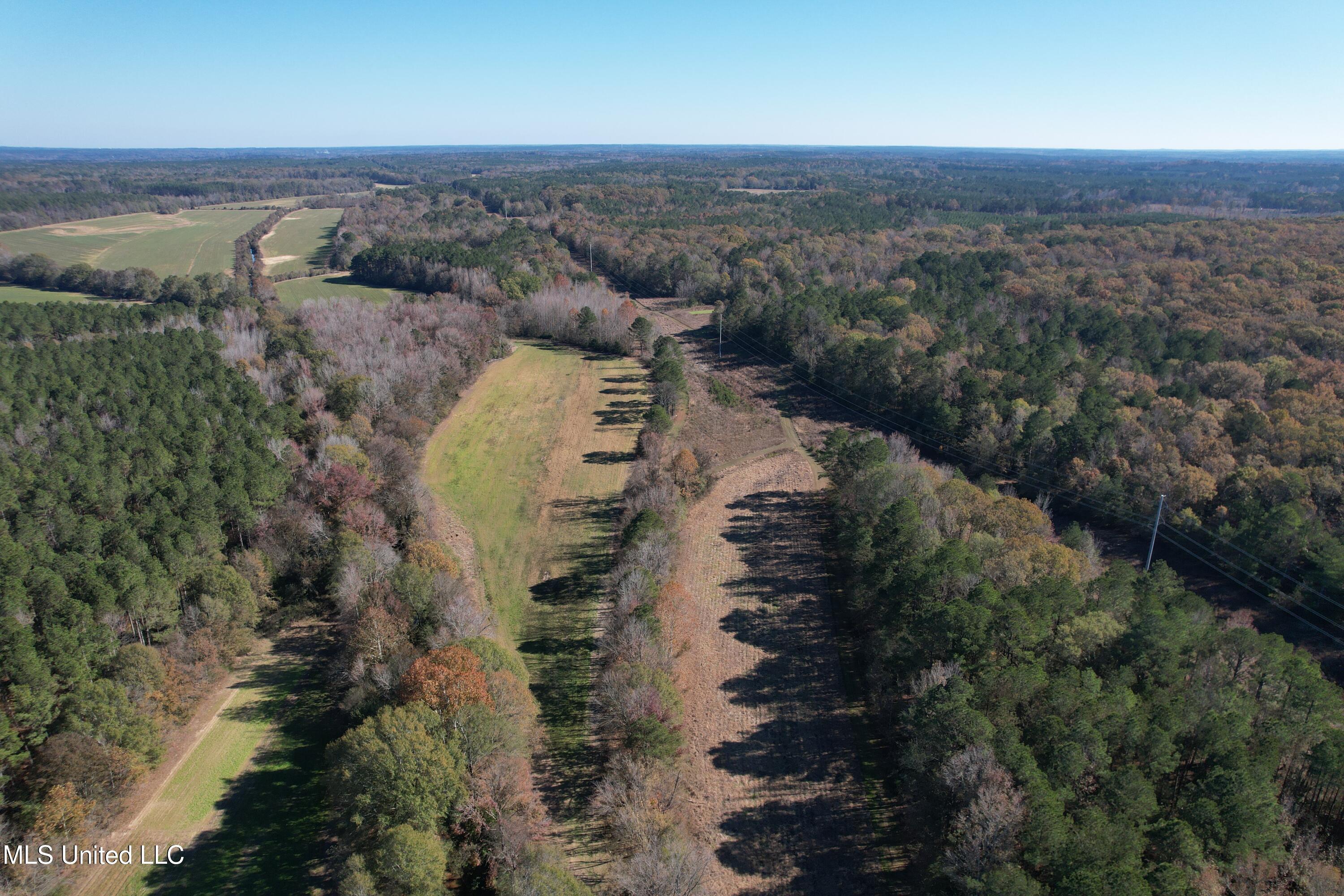 Hwy 429, Sallis, Mississippi image 6