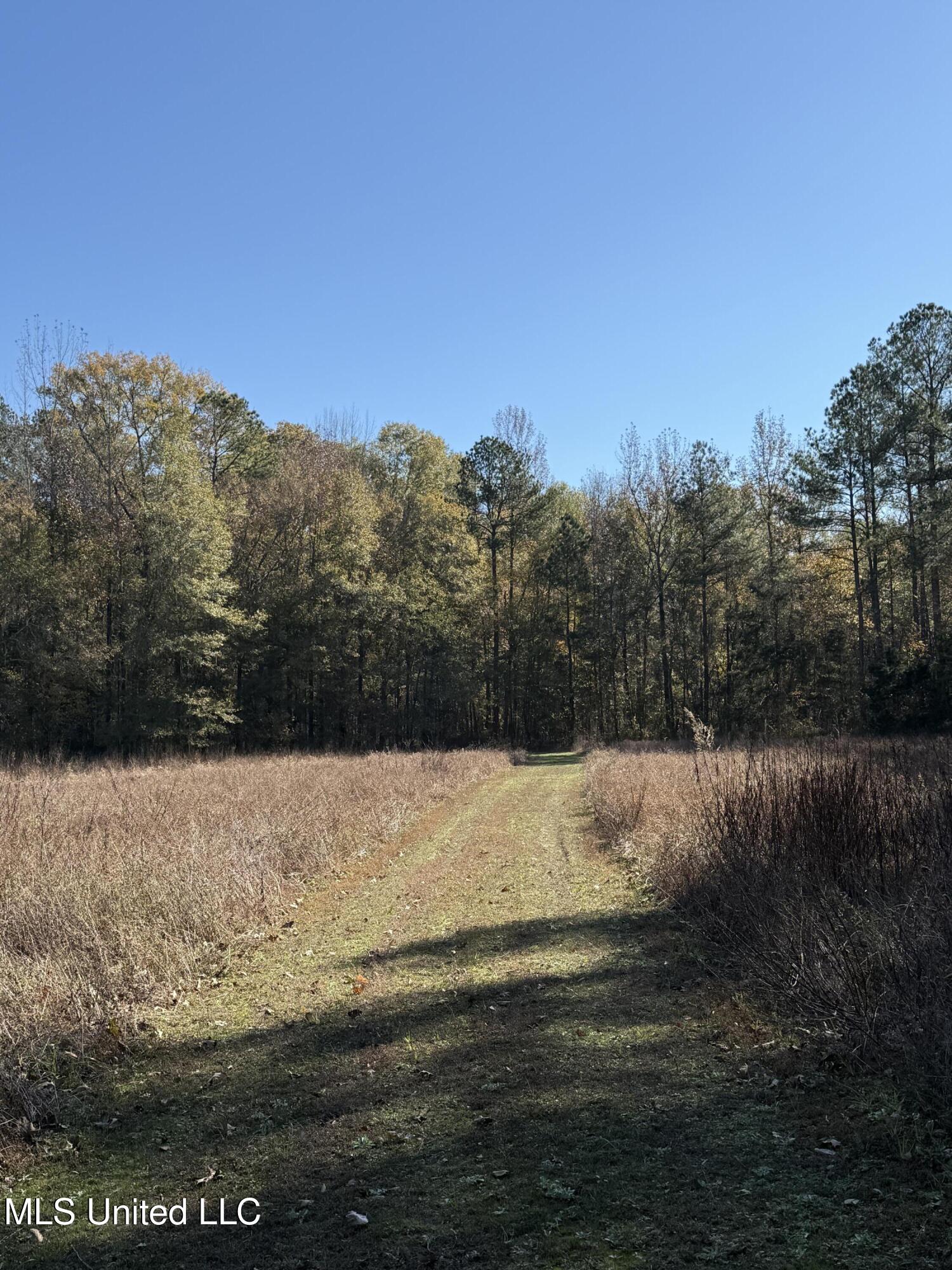 Hwy 429, Sallis, Mississippi image 33