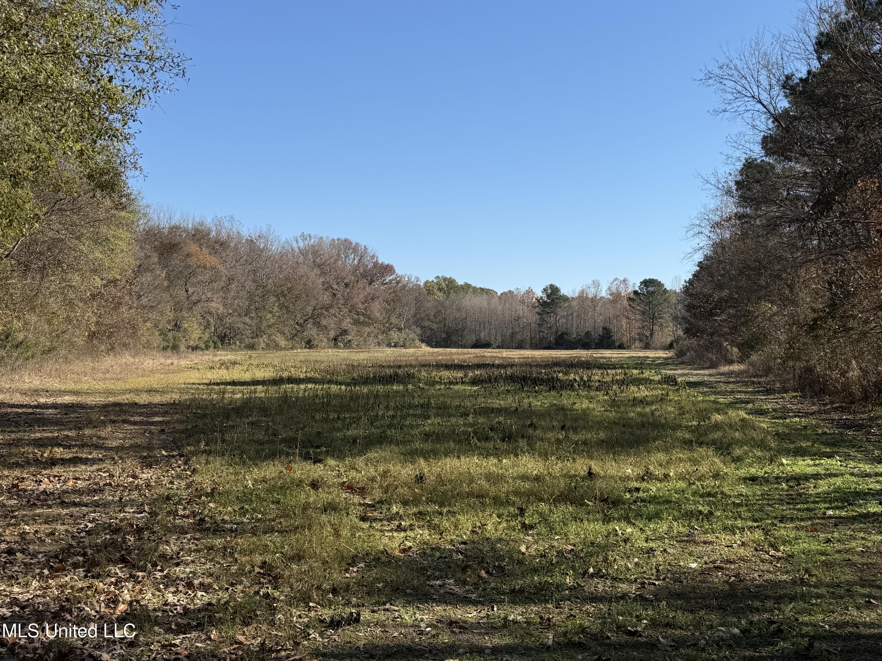 Hwy 429, Sallis, Mississippi image 26