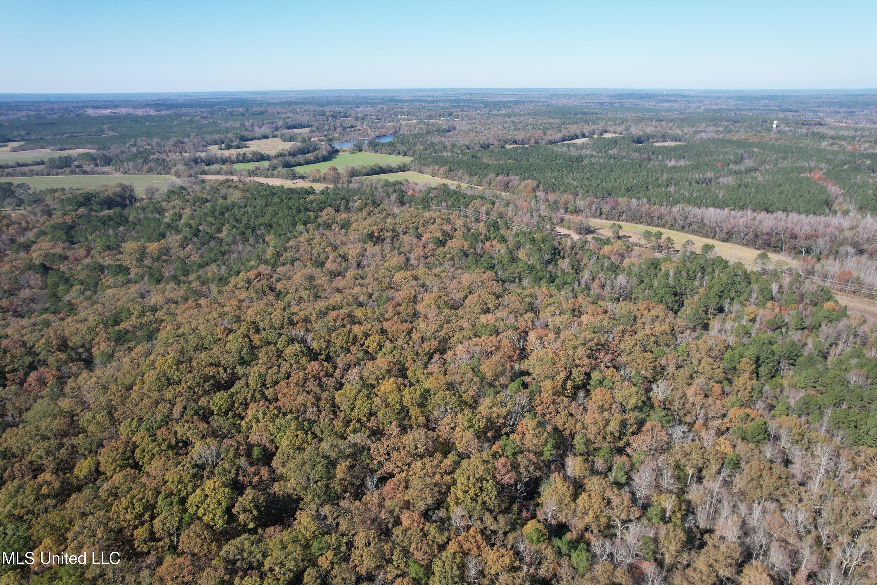 Hwy 429, Sallis, Mississippi image 9