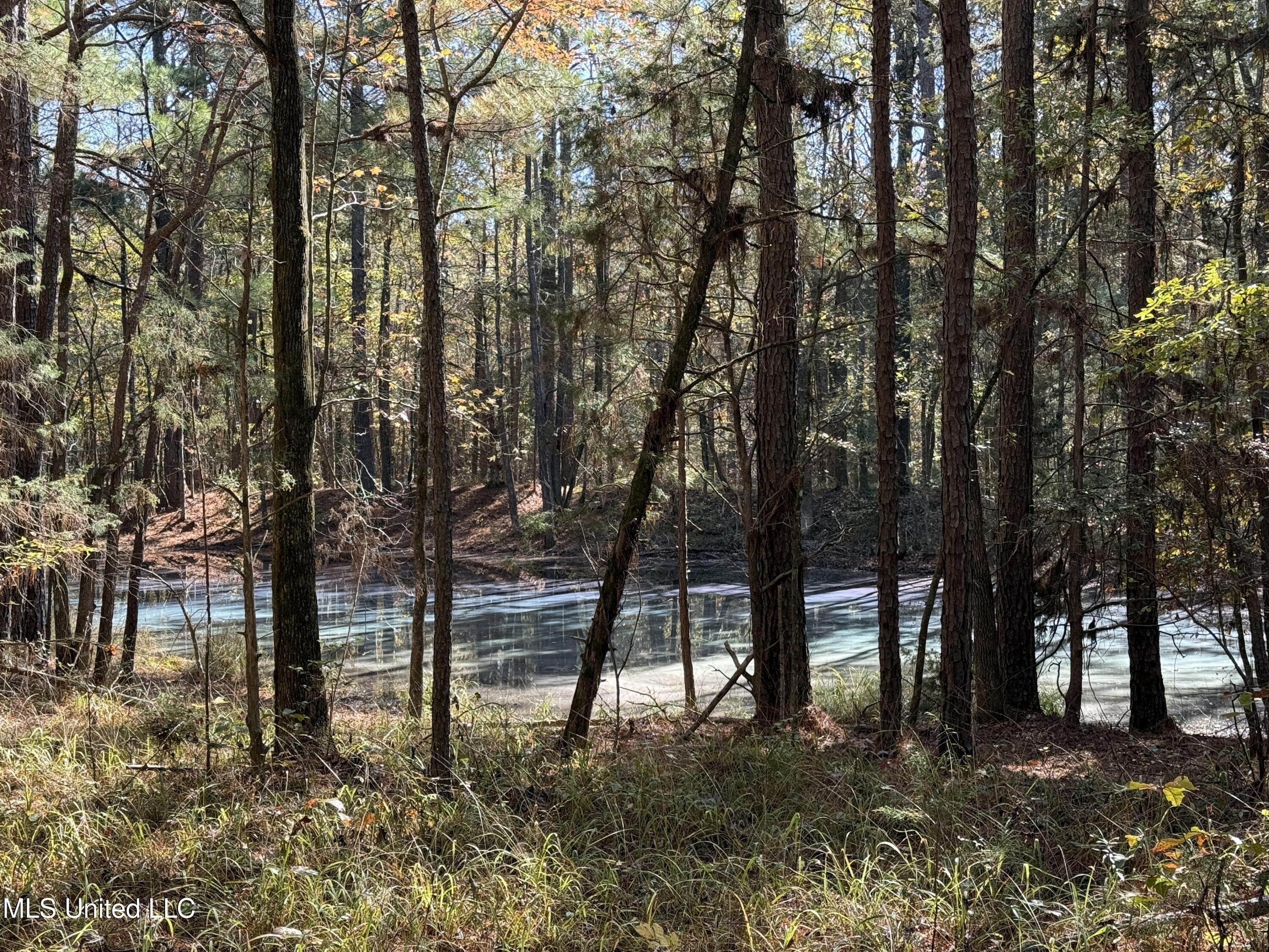 Hwy 429, Sallis, Mississippi image 4