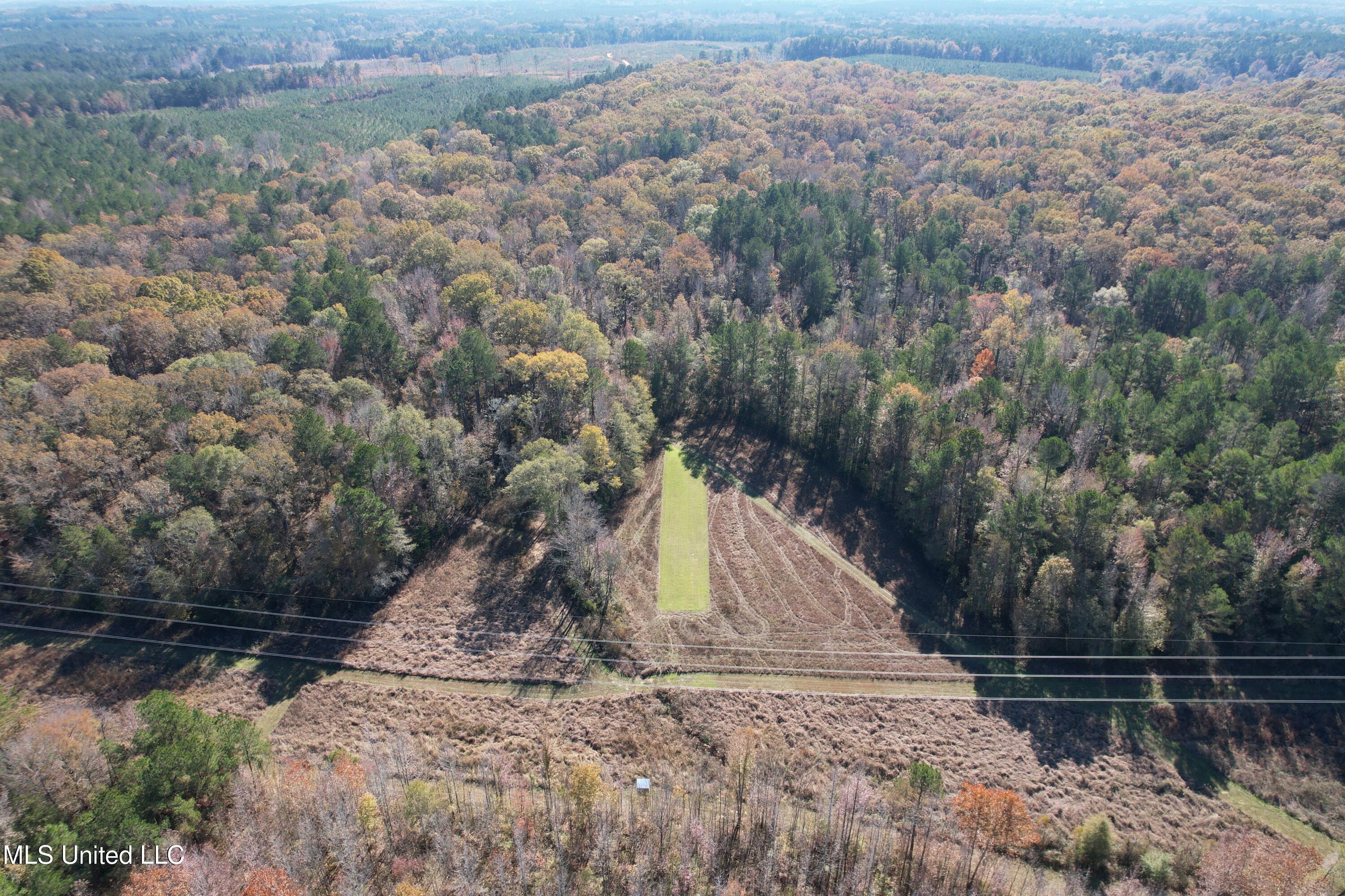 Hwy 429, Sallis, Mississippi image 7