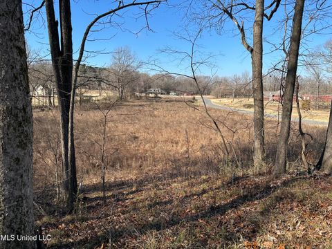 Vacant Land For Sale - 4889 Austin Road<br/> Nesbit, MS 38651