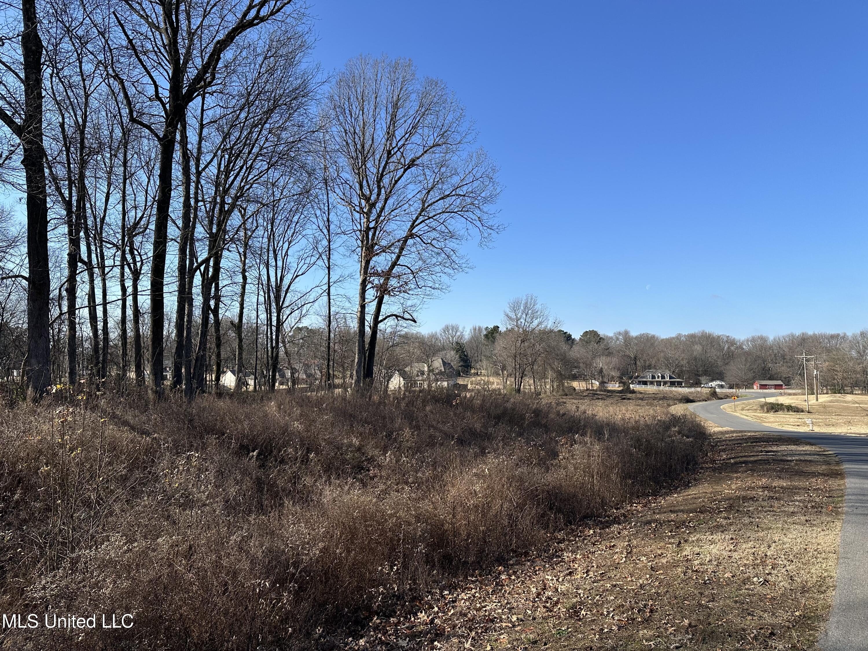 4889 Austin Road, Nesbit, Mississippi image 4