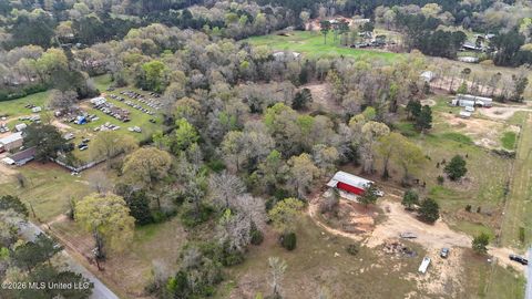 Vacant Land For Sale - TBD Ole Springs Road<br/> Summit, MS 39666