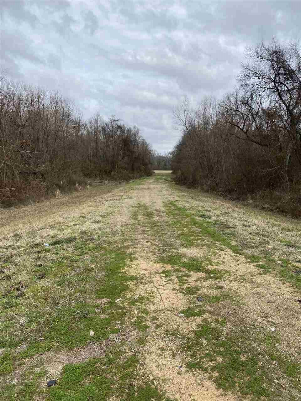 Sowell Road, Canton, Mississippi image 1