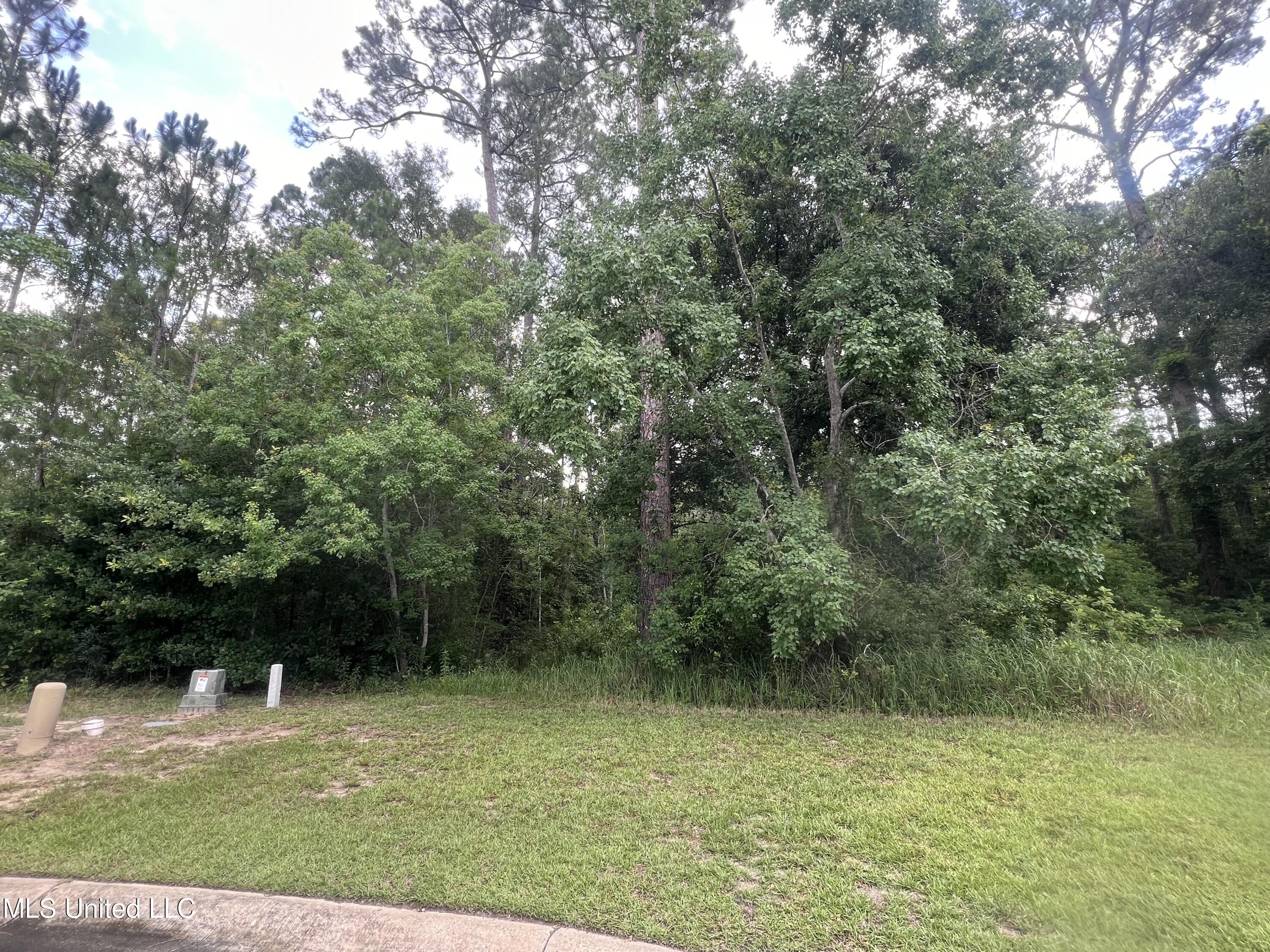 Lot 20 Via Toscana, Ocean Springs, Mississippi image 4