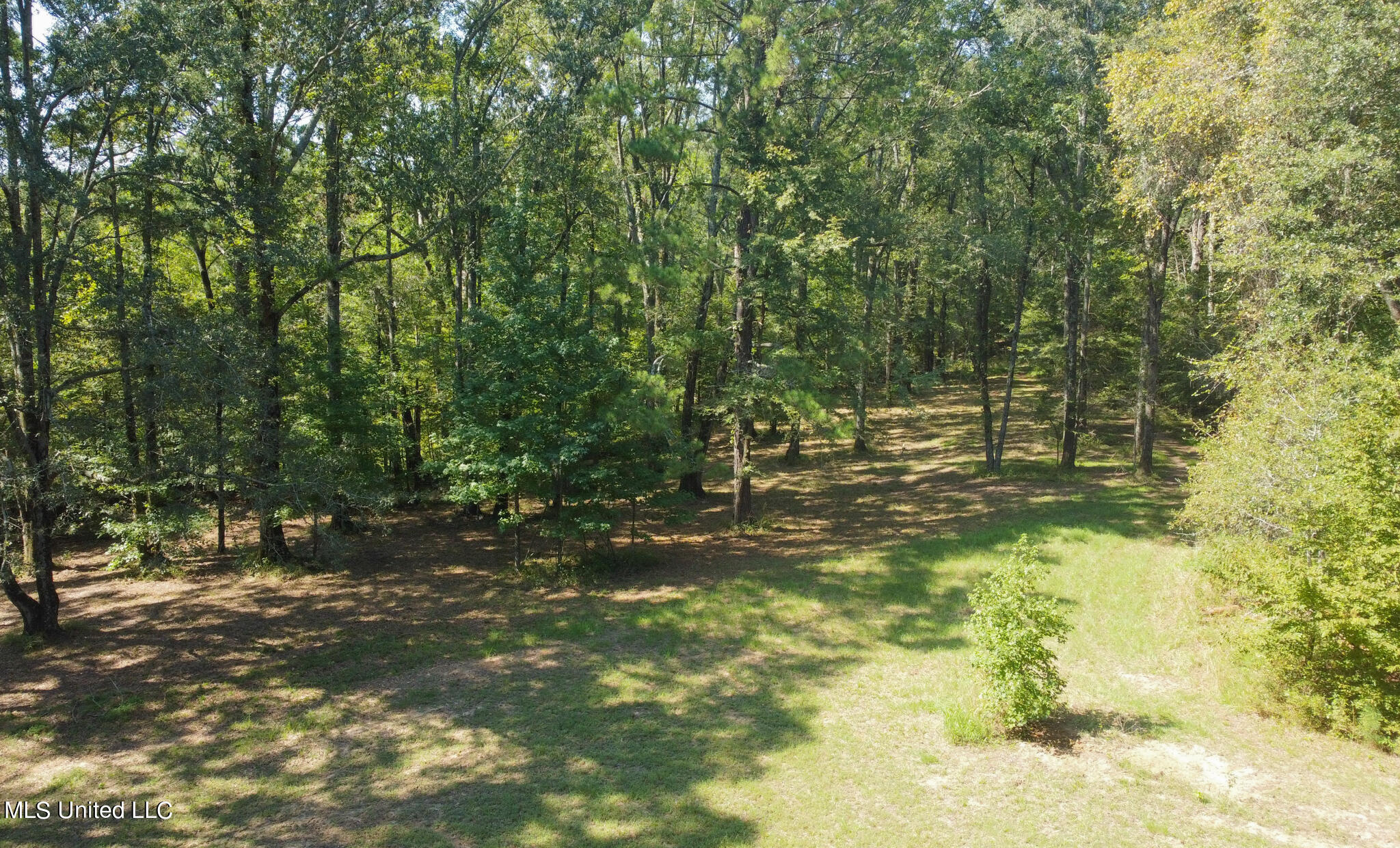 1966 Narrow Gauge Road, Bolton, Mississippi image 24