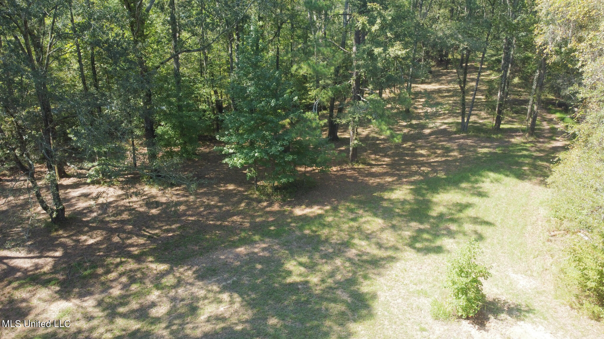 1966 Narrow Gauge Road, Bolton, Mississippi image 23