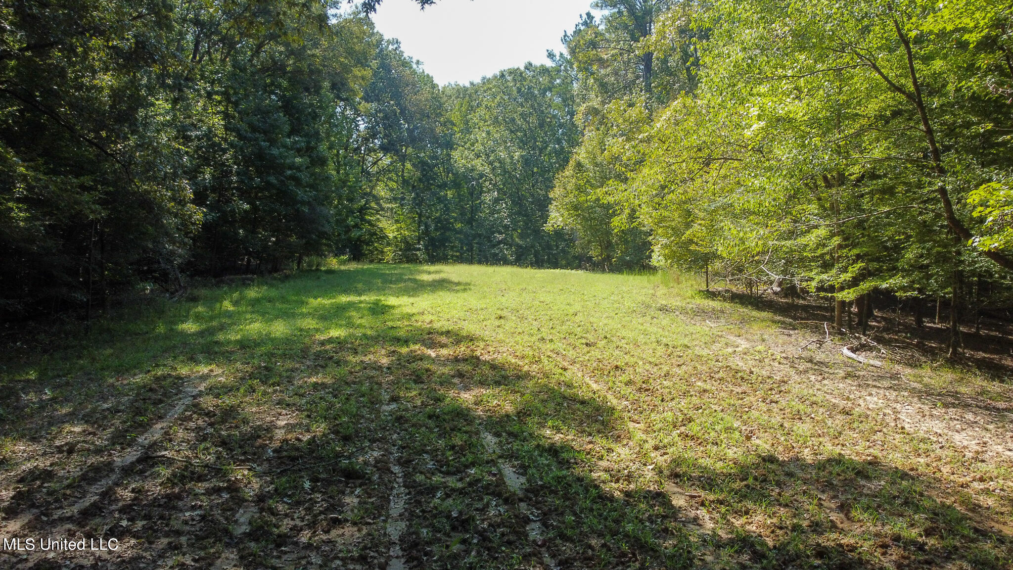 1966 Narrow Gauge Road, Bolton, Mississippi image 20