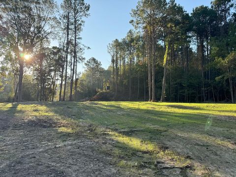 Vacant Land For Sale - Ms Hwy 33<br/> Wilkinson County, Crosby, MS 39633