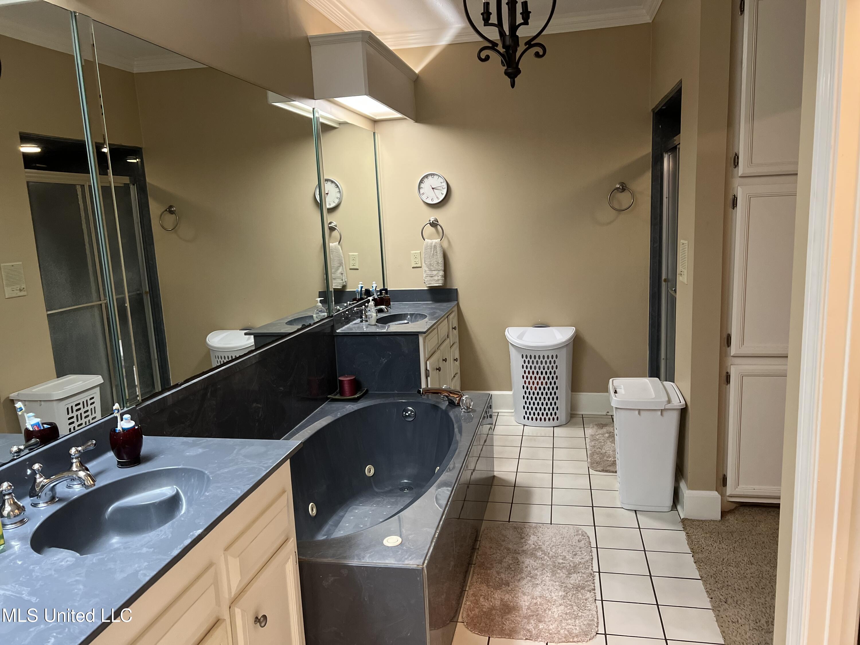 420 Fox Bay Drive, Brandon, Mississippi image 15