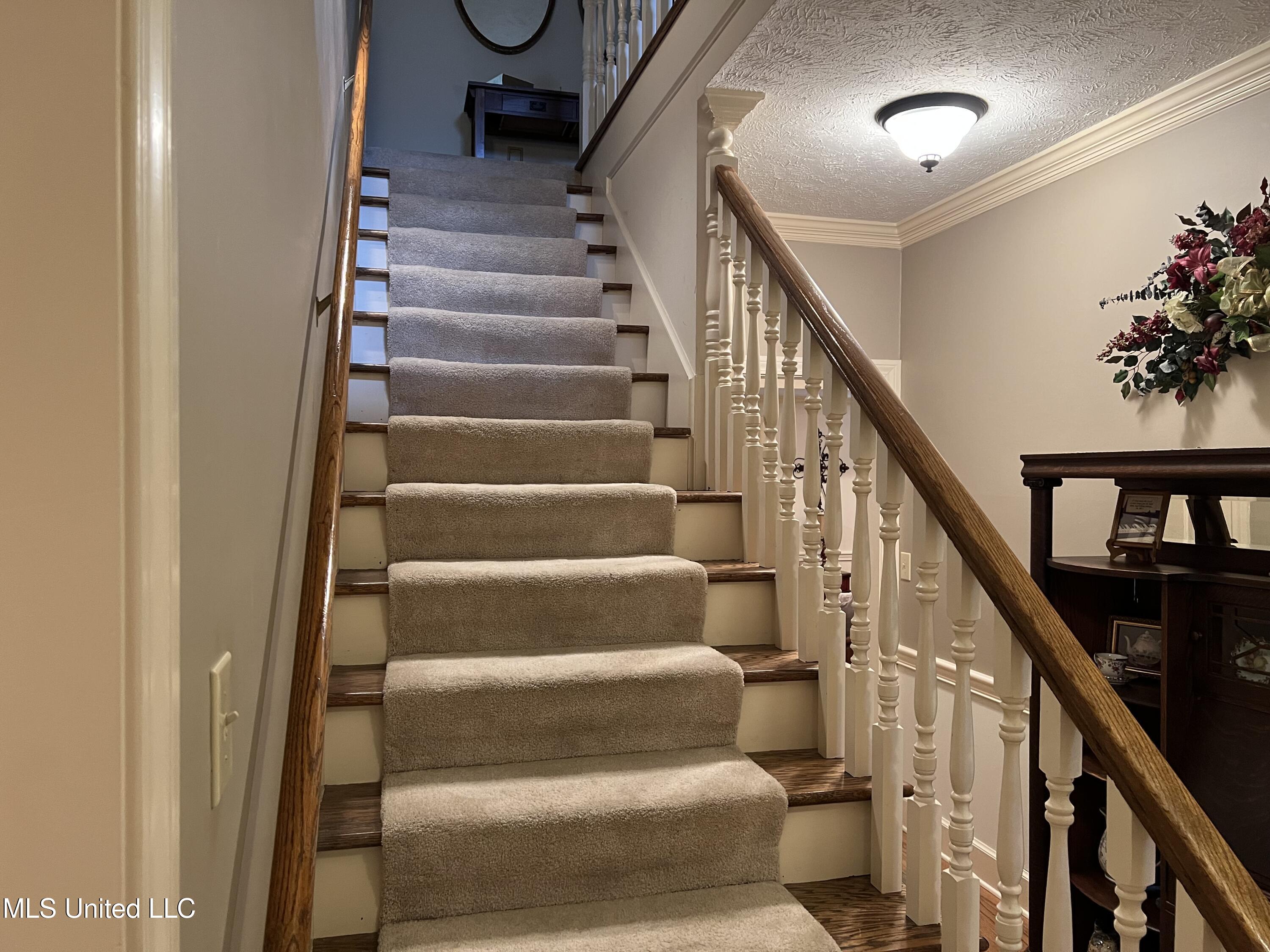 420 Fox Bay Drive, Brandon, Mississippi image 21