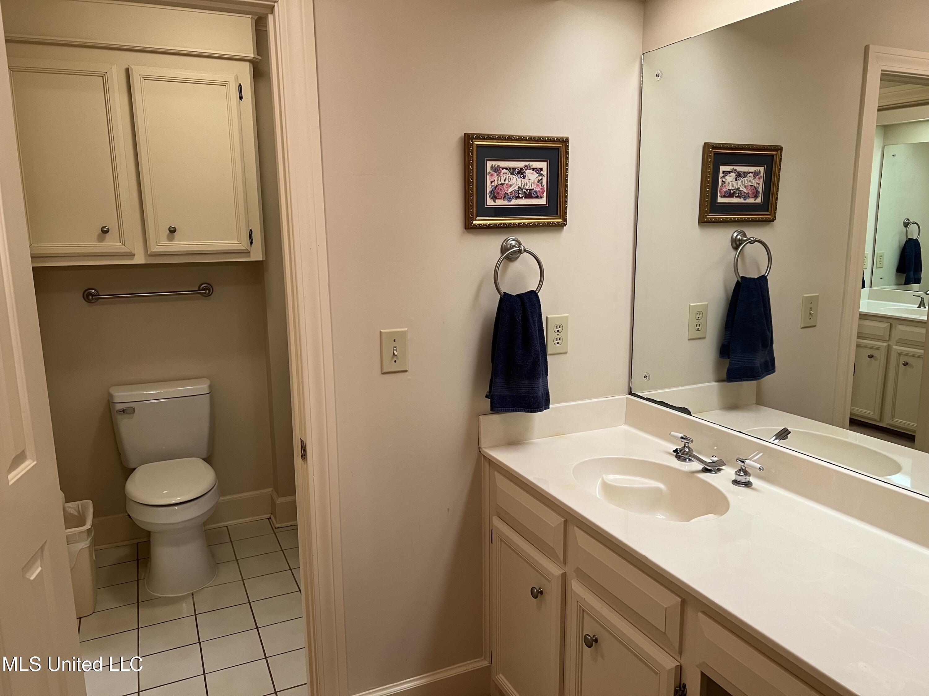 420 Fox Bay Drive, Brandon, Mississippi image 25