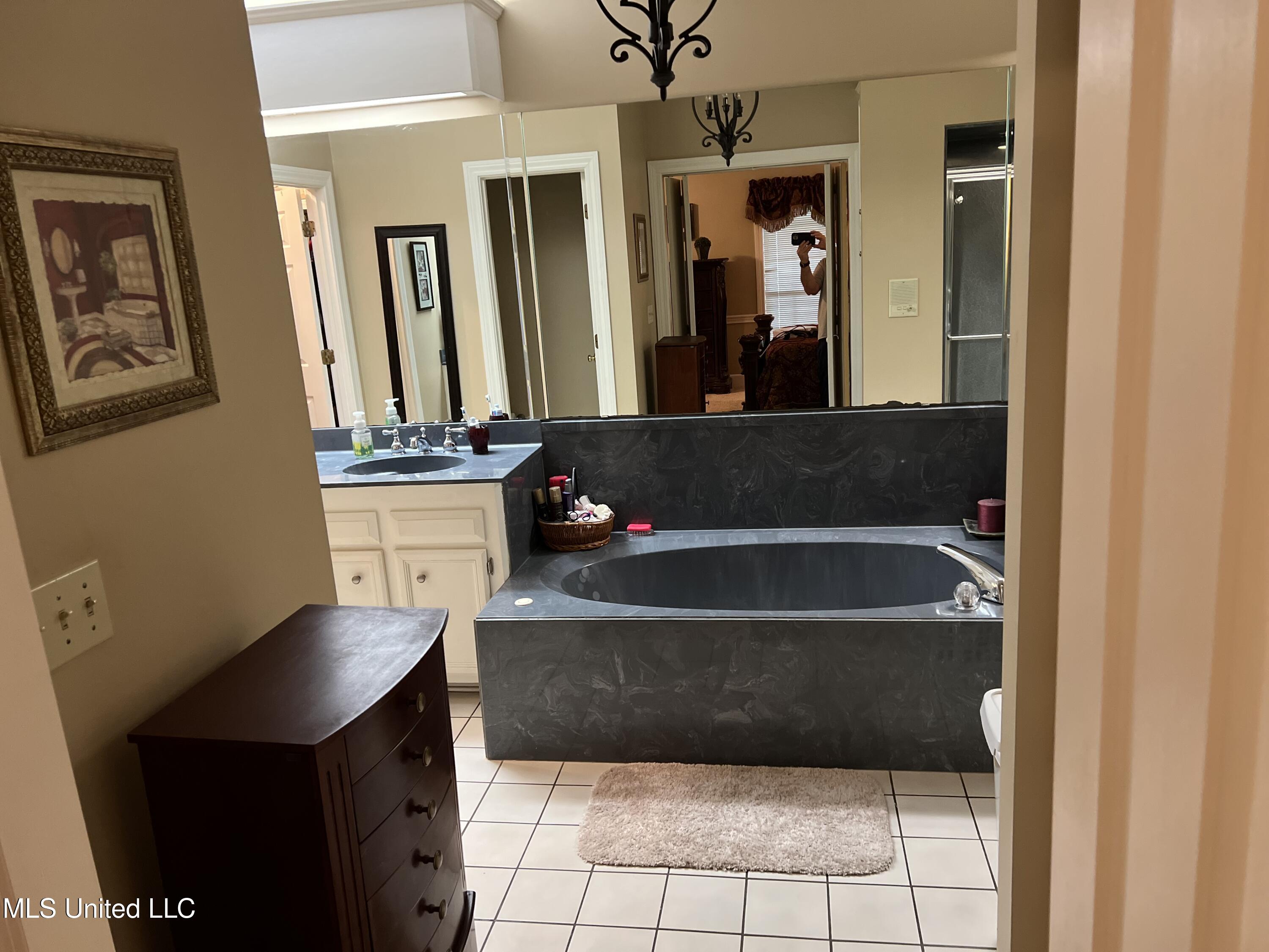 420 Fox Bay Drive, Brandon, Mississippi image 13