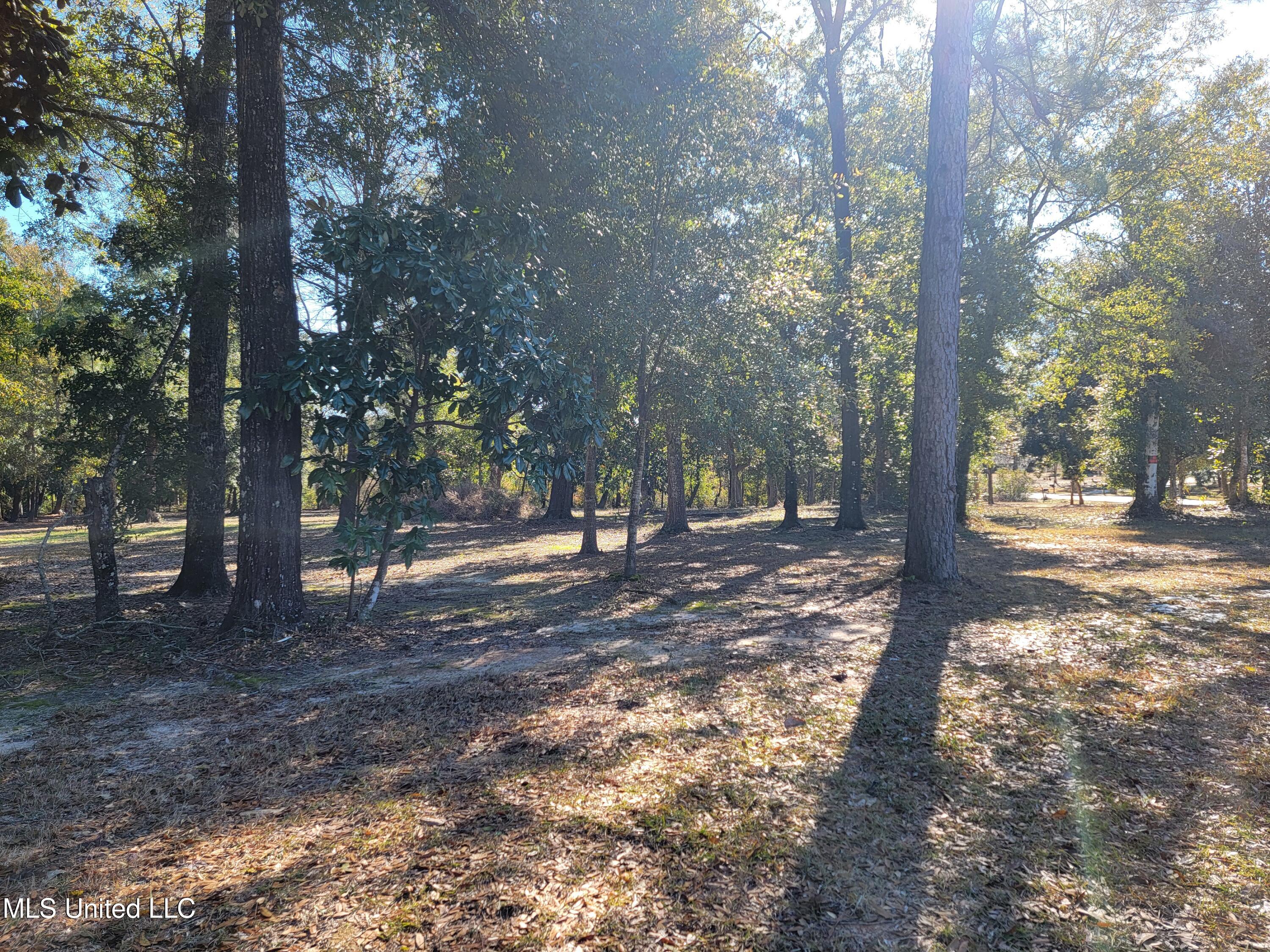 Shorecrest Road, Biloxi, Mississippi image 3