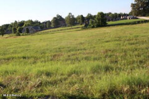 Vacant Land For Sale - 3 Chapel Hill Subdivision<br/> Marshall County, Holly Springs, MS 38635