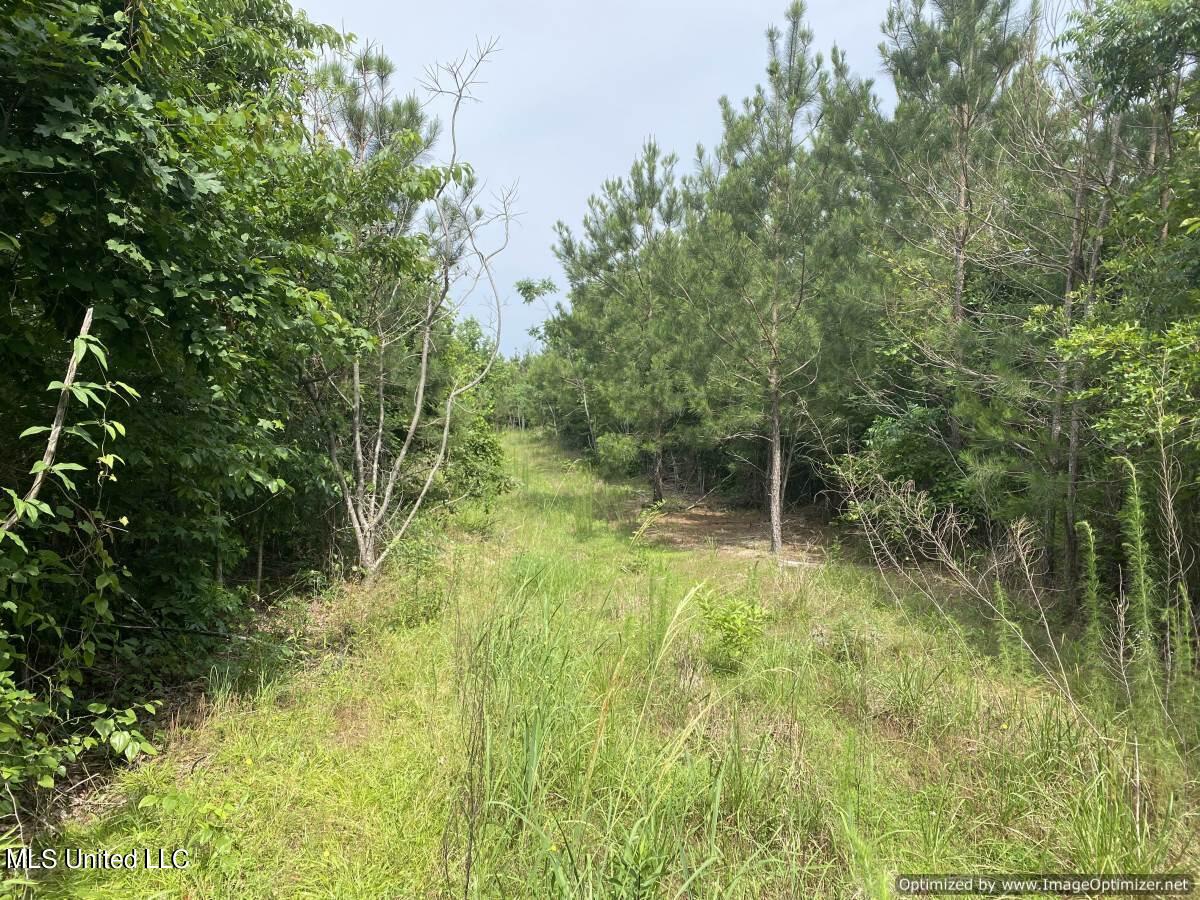 Ashley Rd Road, Hazlehurst, Mississippi image 7