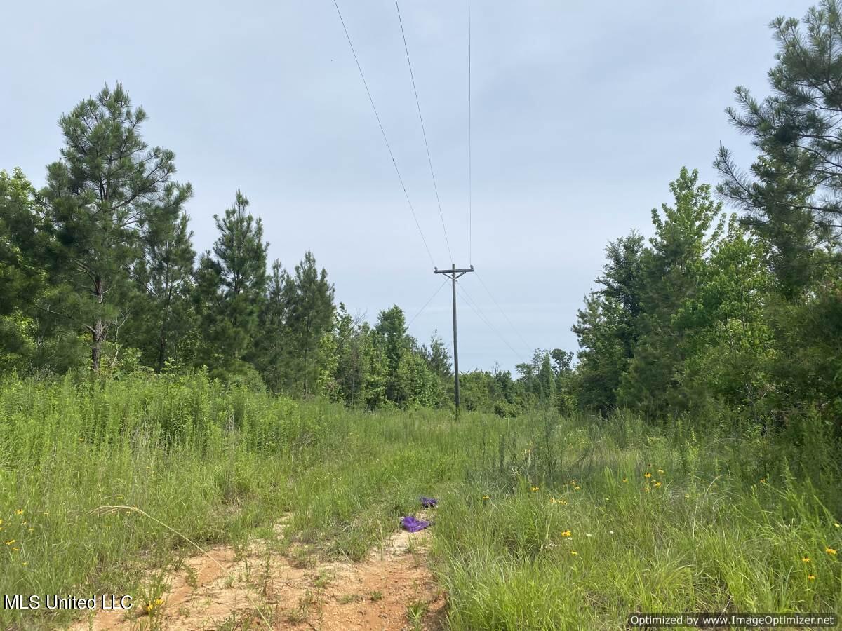 Ashley Rd Road, Hazlehurst, Mississippi image 6