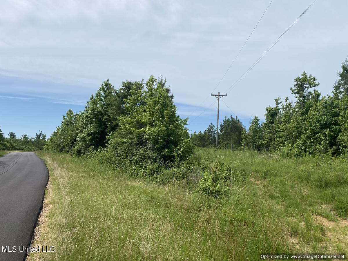 Ashley Rd Road, Hazlehurst, Mississippi image 9