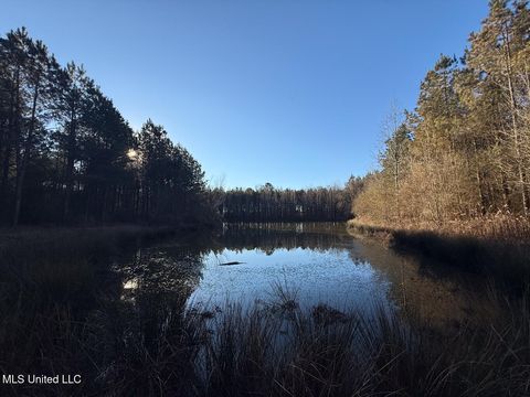 Vacant Land For Sale - 1145 Ludlow Road<br/> Leake County, Lena, MS 39094