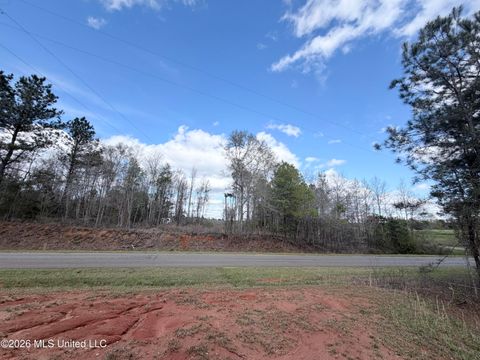 Vacant Land For Sale - 66 Pete Freeman Road<br/> Decatur, MS 39327