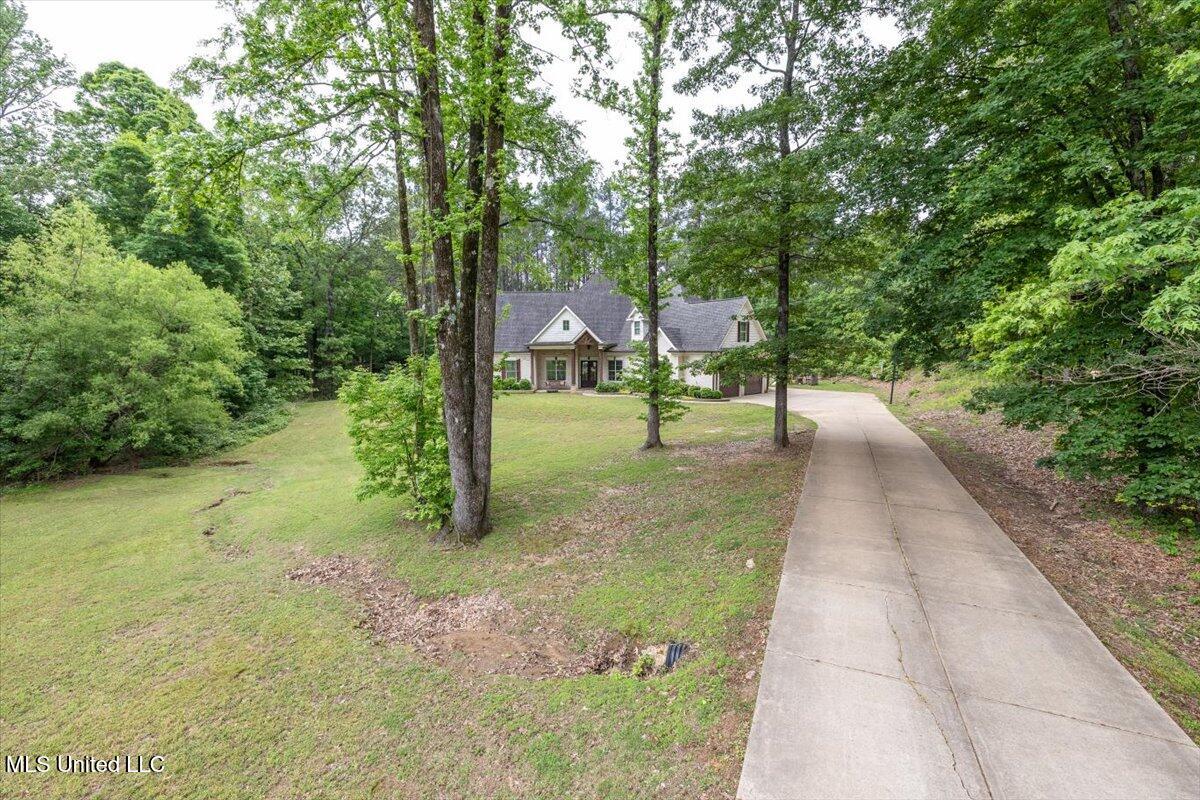 223 Fawn Cove, Hernando, Mississippi image 2