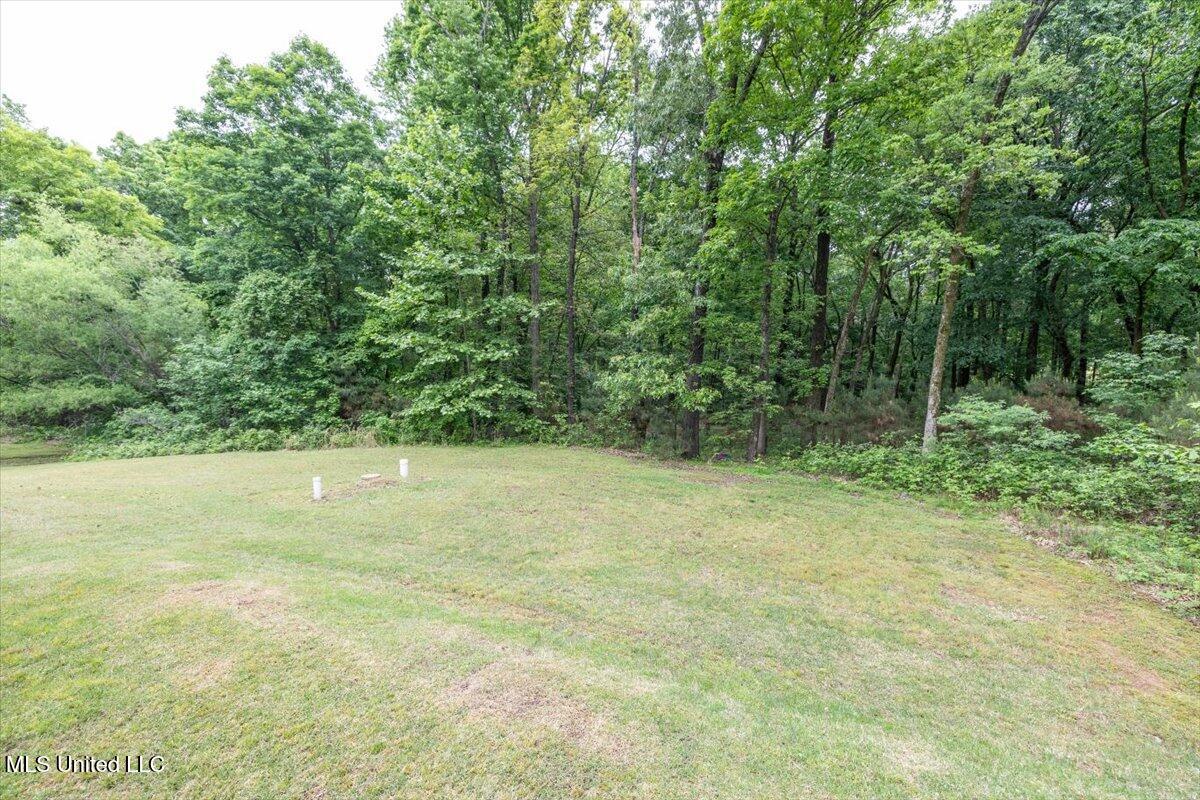 223 Fawn Cove, Hernando, Mississippi image 41