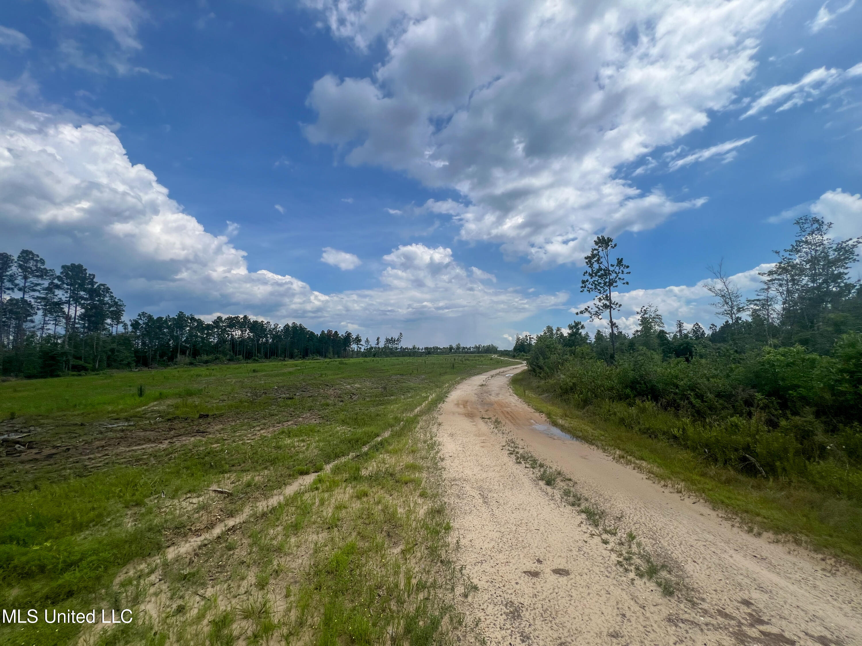 740+- Ac Moody Road, Lucedale, Mississippi image 14