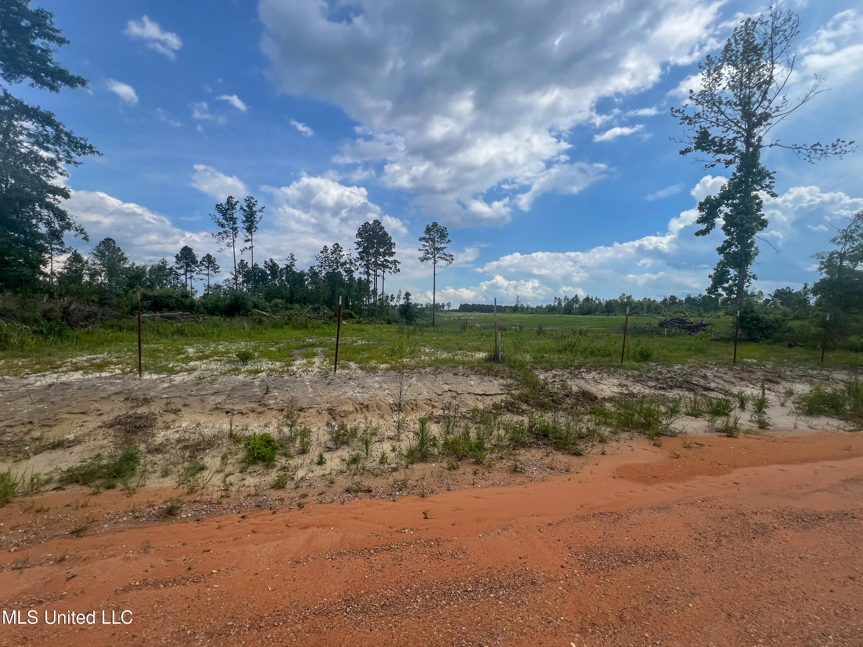 740+- Ac Moody Road, Lucedale, Mississippi image 12