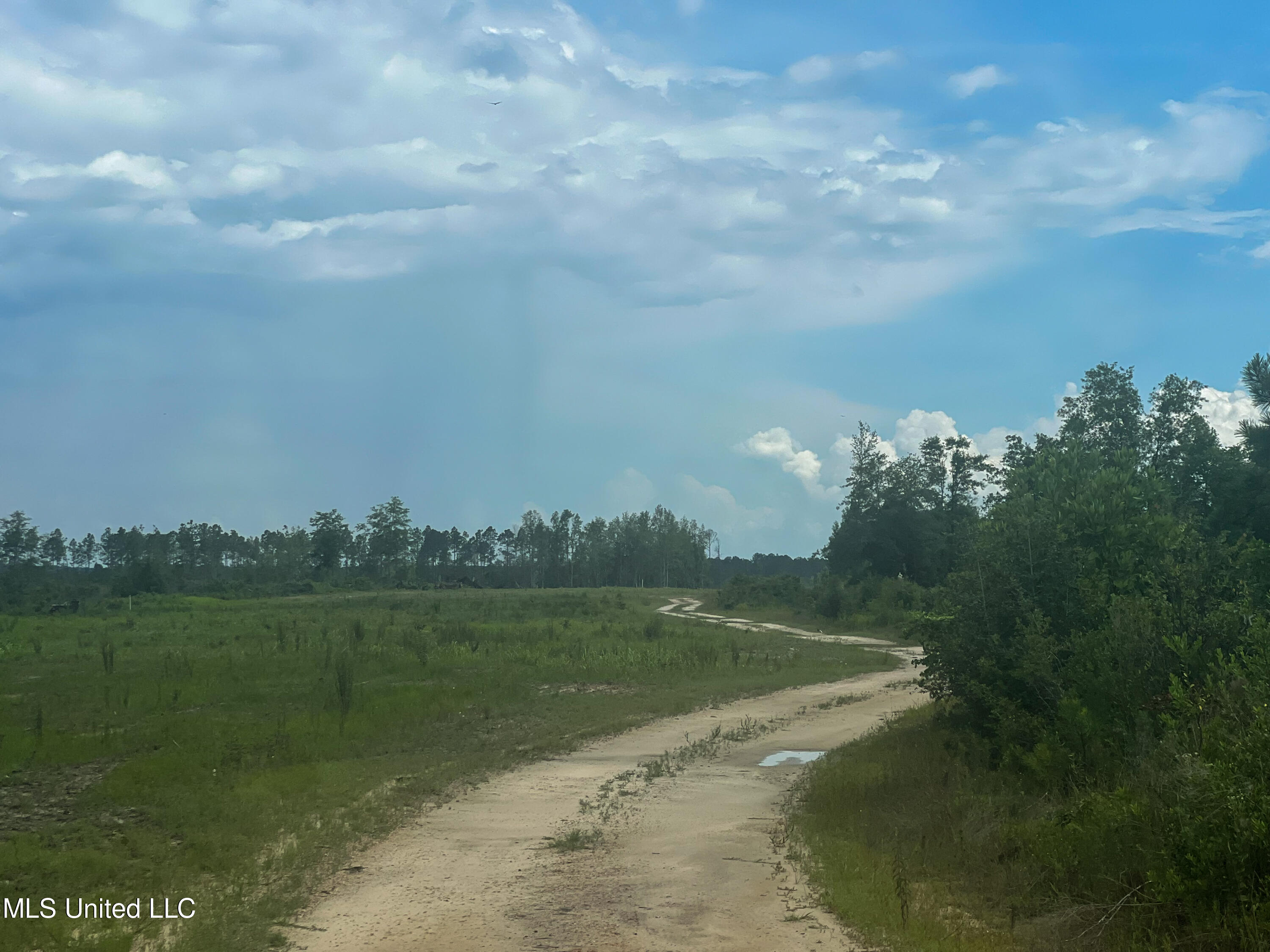 740+- Ac Moody Road, Lucedale, Mississippi image 15