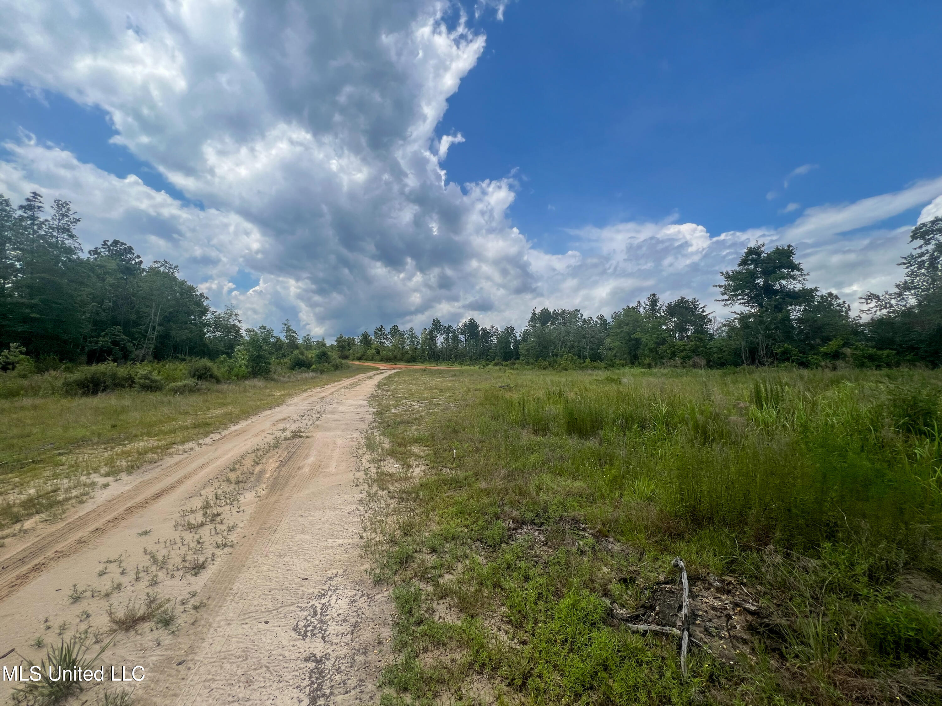 740+- Ac Moody Road, Lucedale, Mississippi image 13
