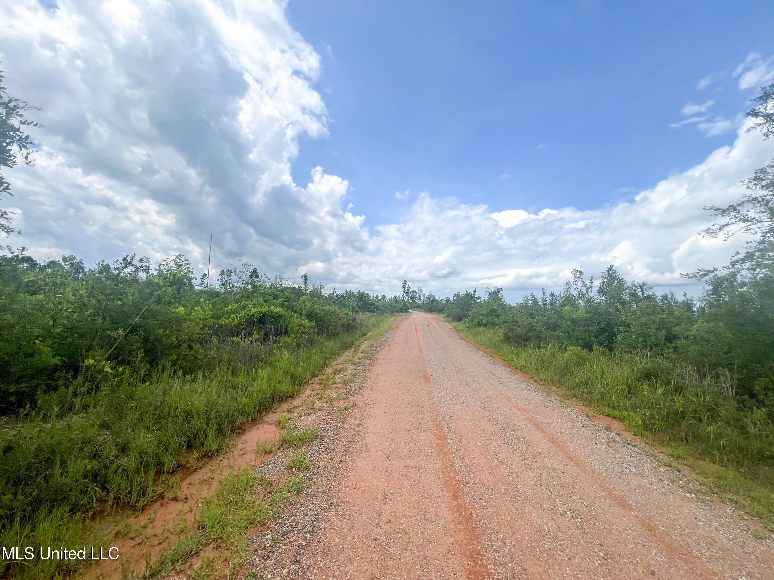 740+- Ac Moody Road, Lucedale, Mississippi image 10
