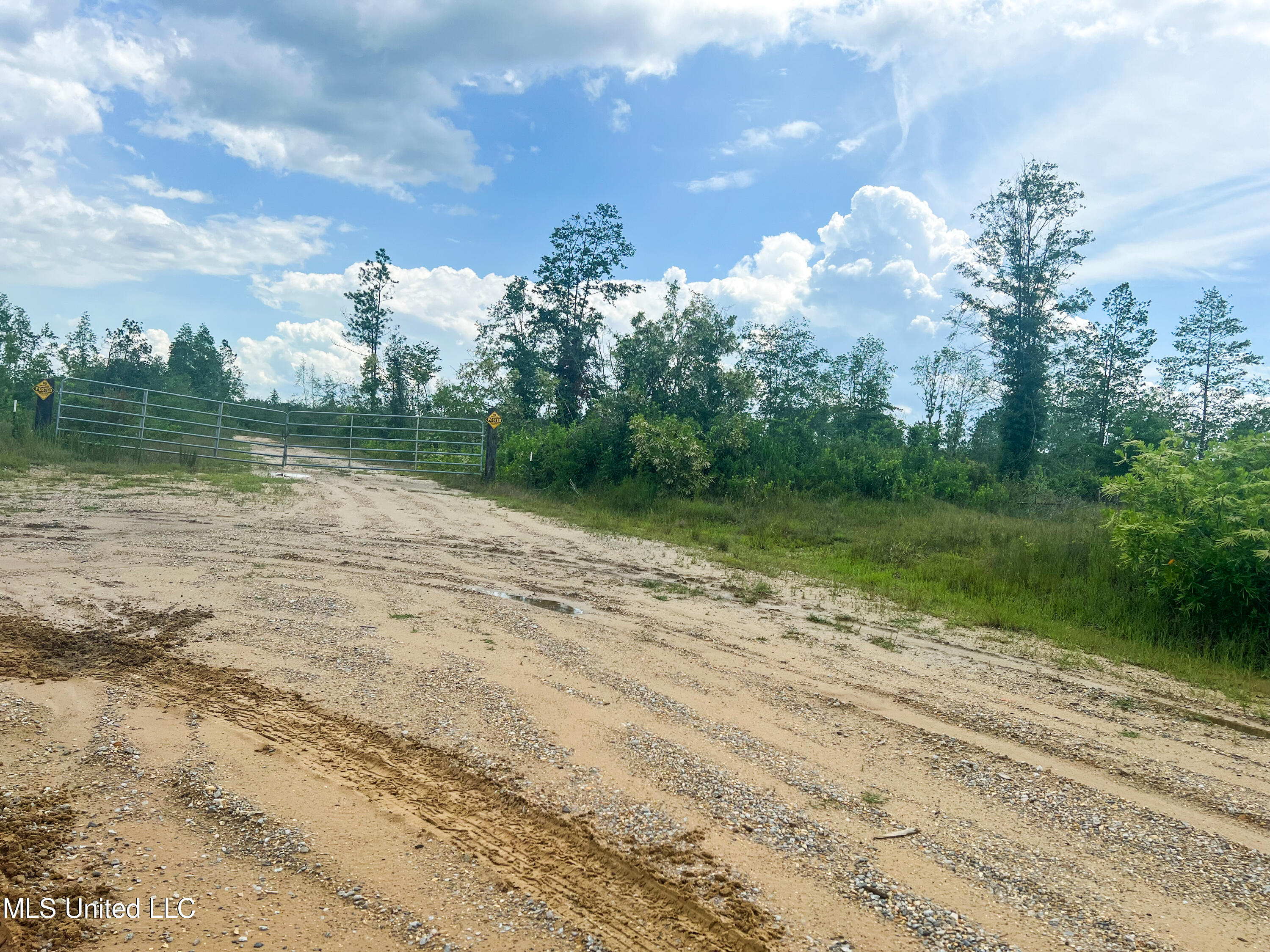 740+- Ac Moody Road, Lucedale, Mississippi image 9
