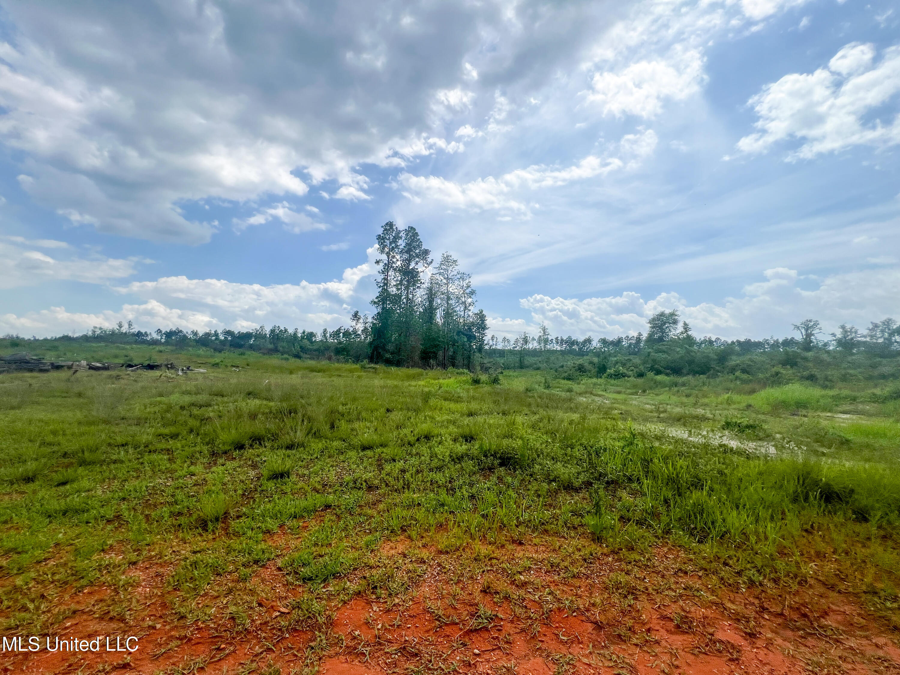 740+- Ac Moody Road, Lucedale, Mississippi image 11