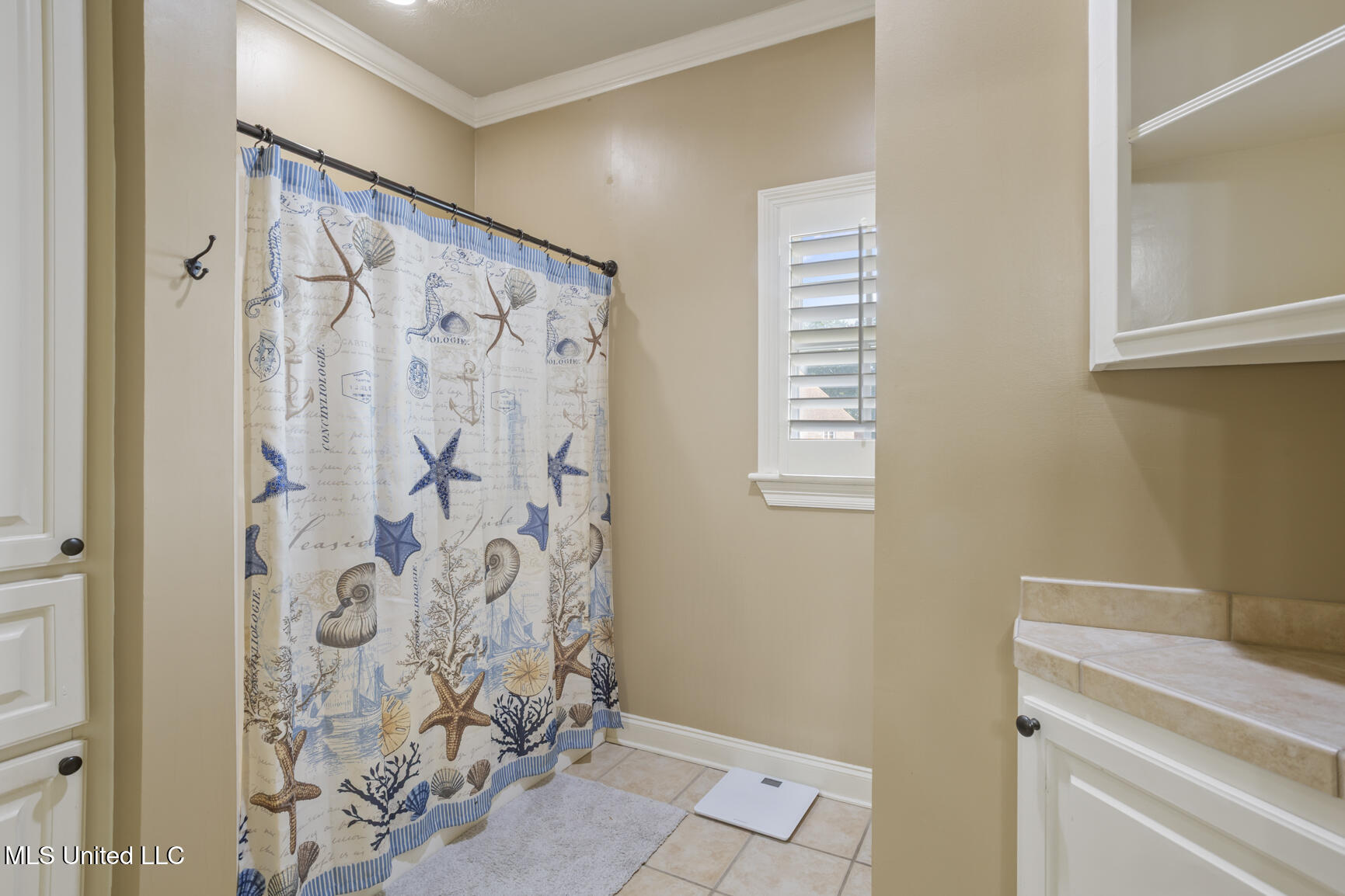 100 Catherine Cove, Madison, Mississippi image 41